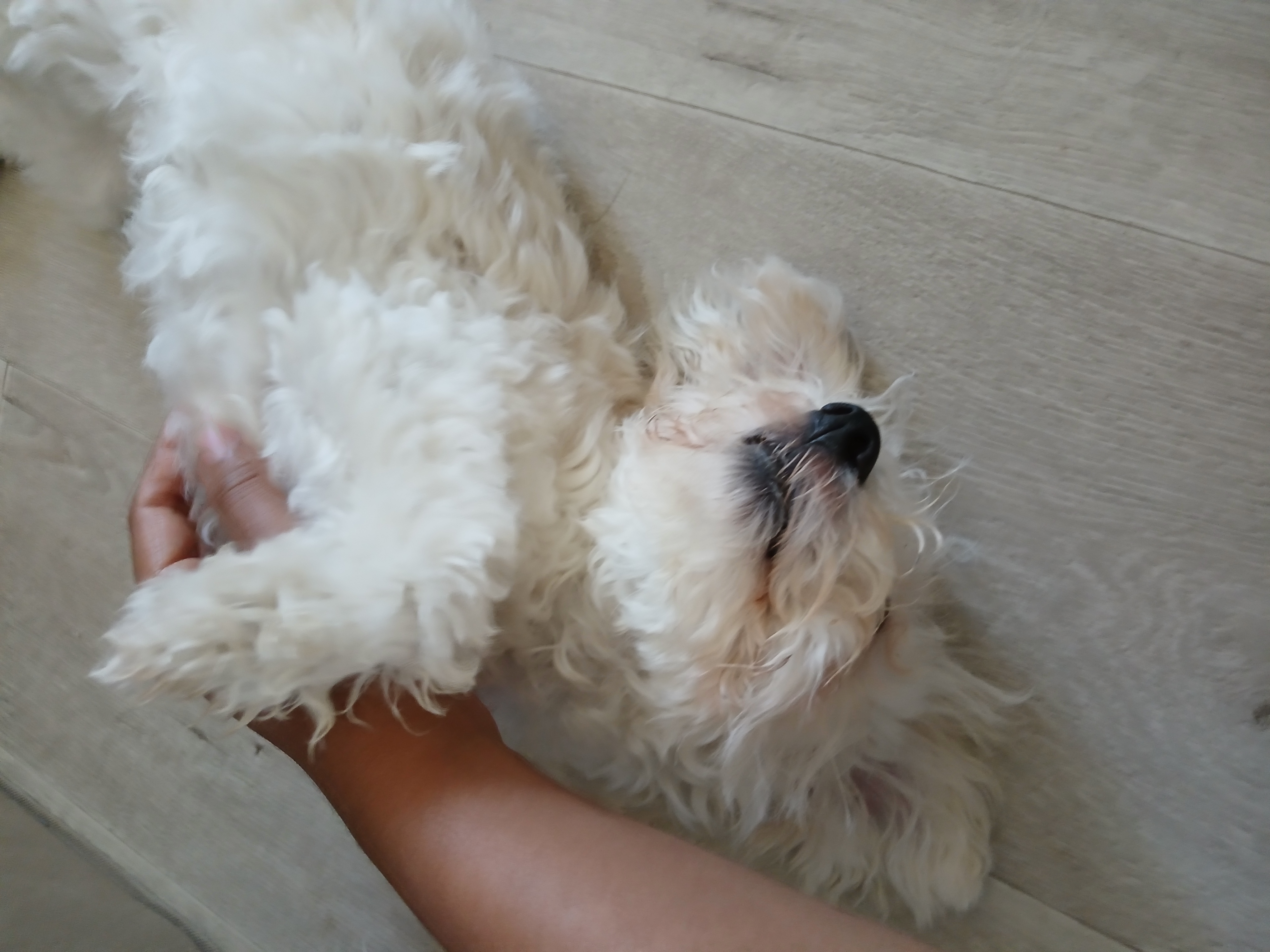 image-8