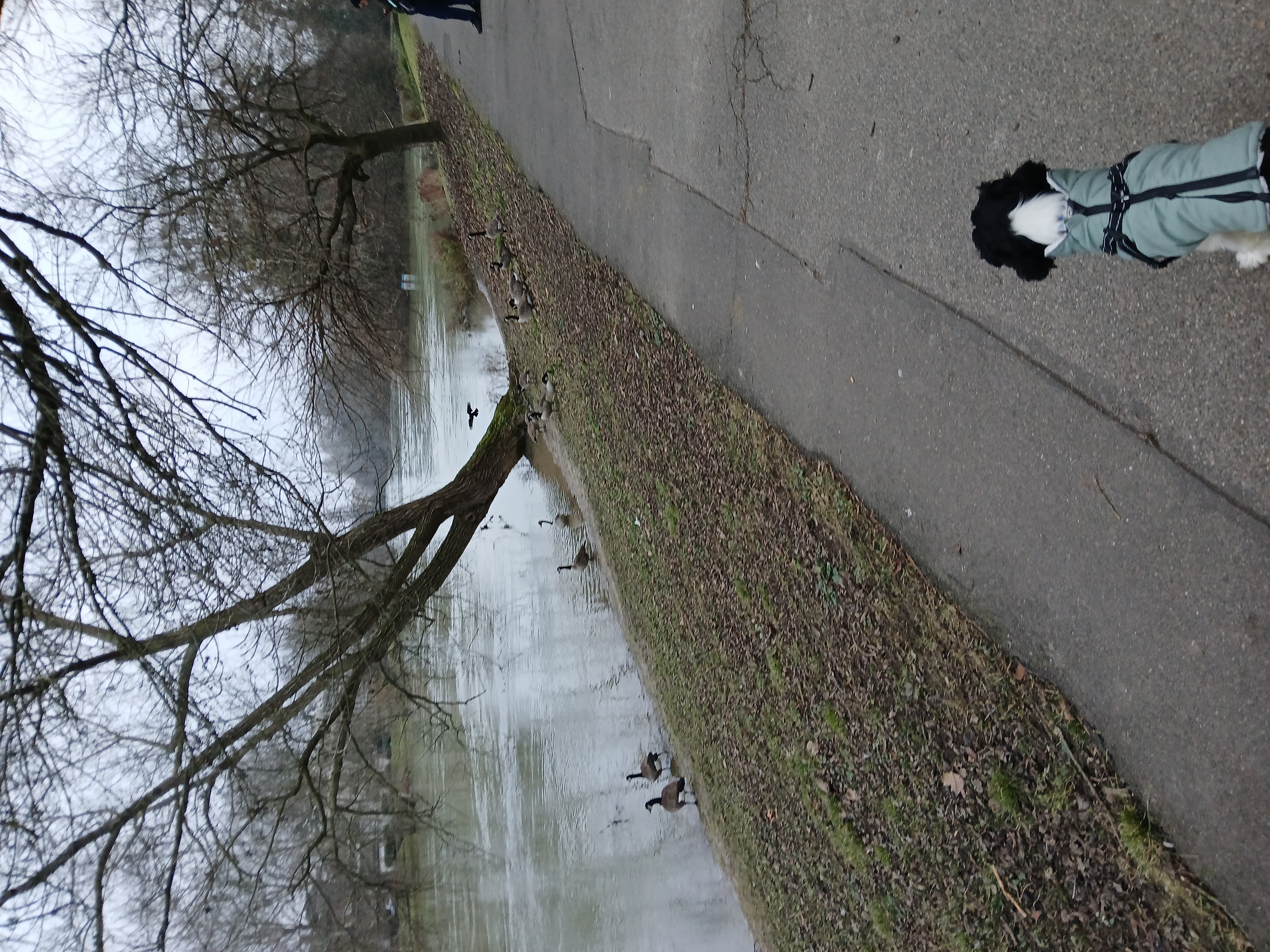 image-45