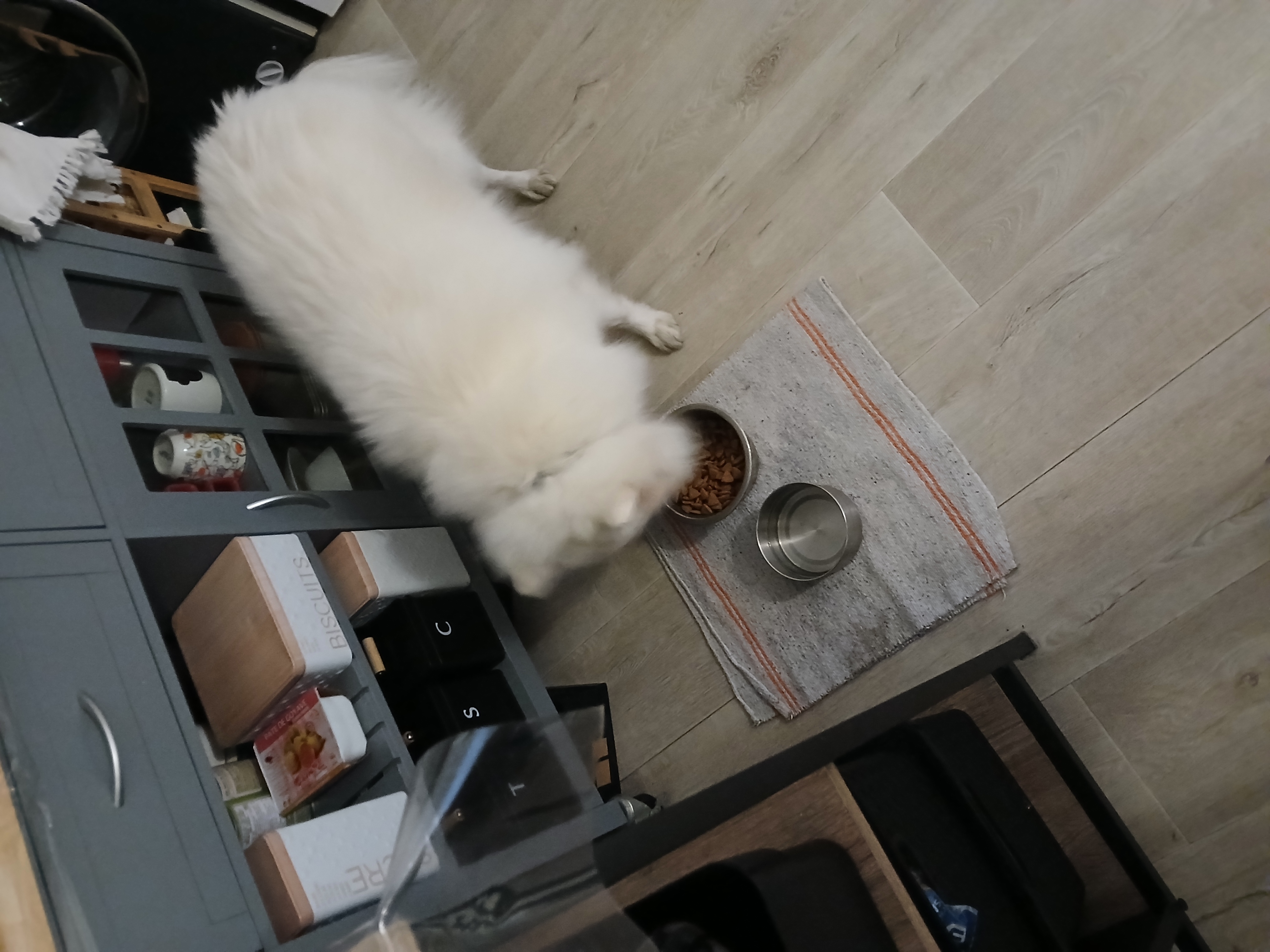 image-38
