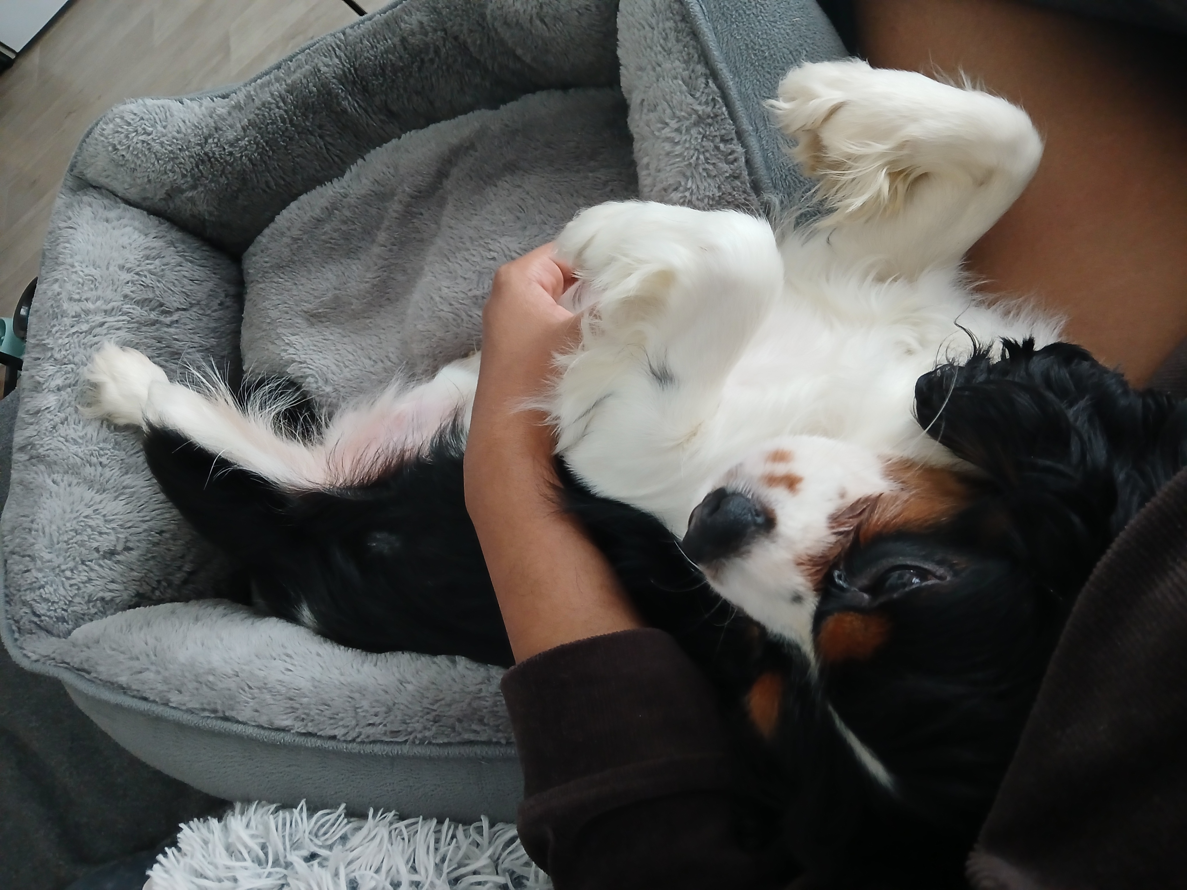 image-9