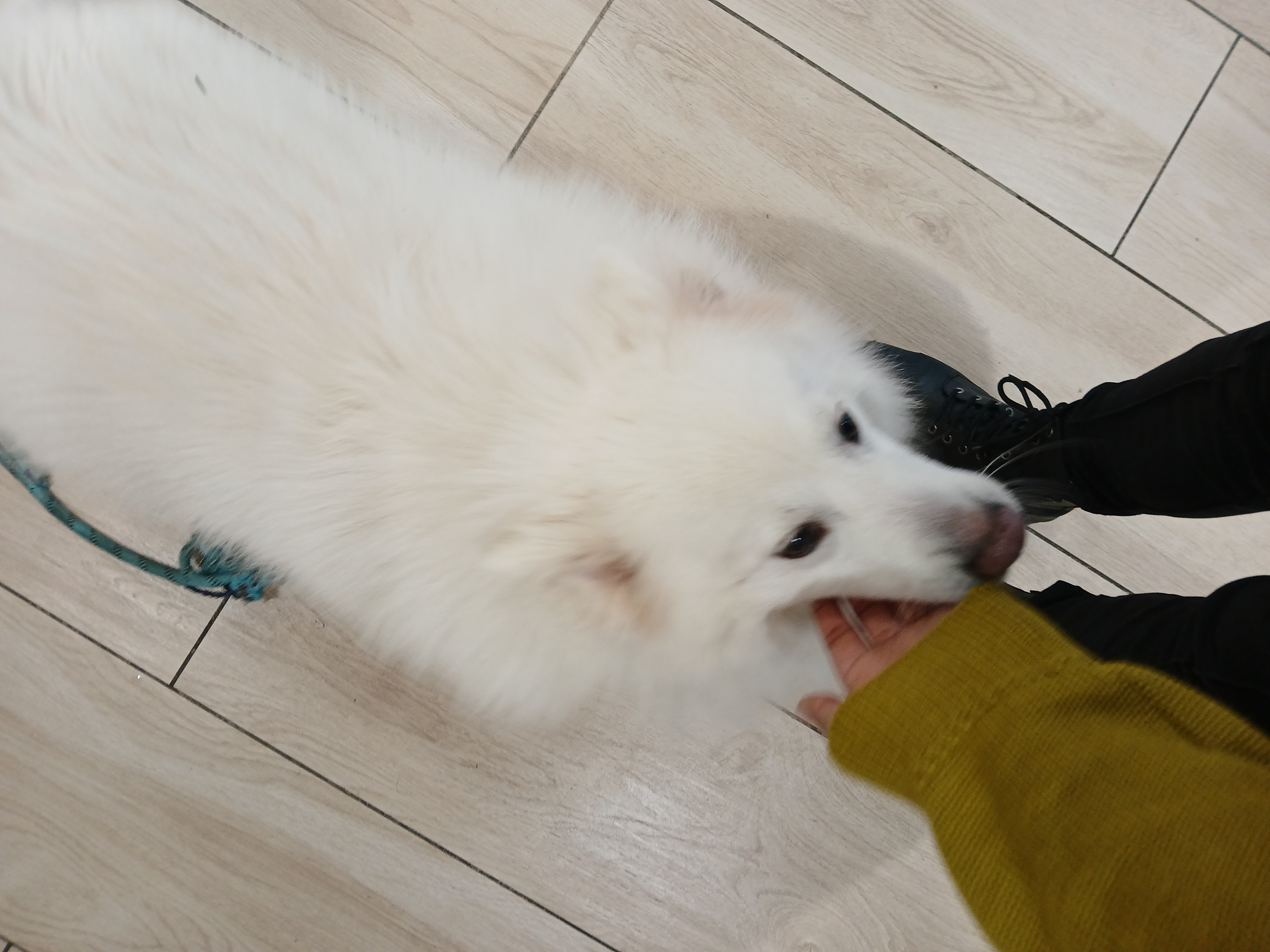 image-11