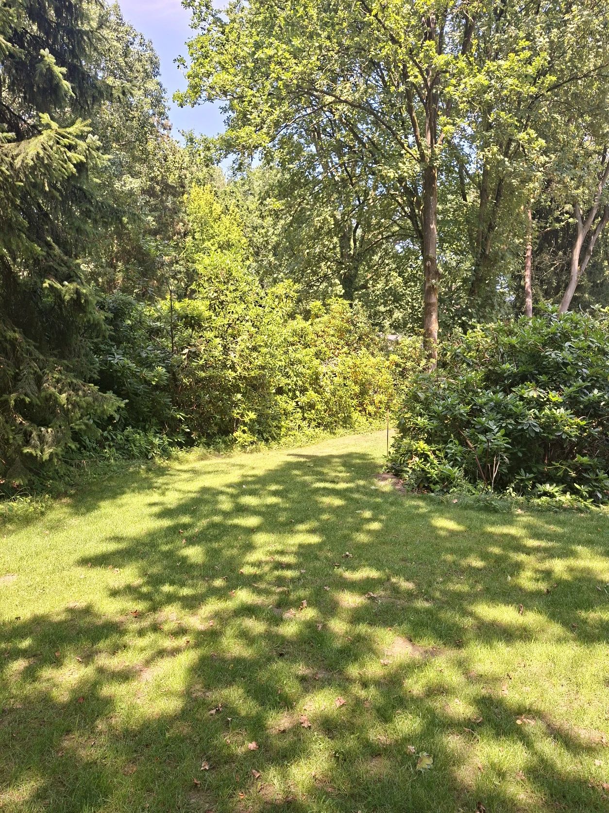 image-20