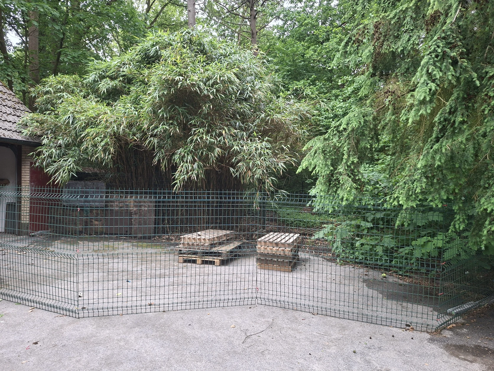 image-16