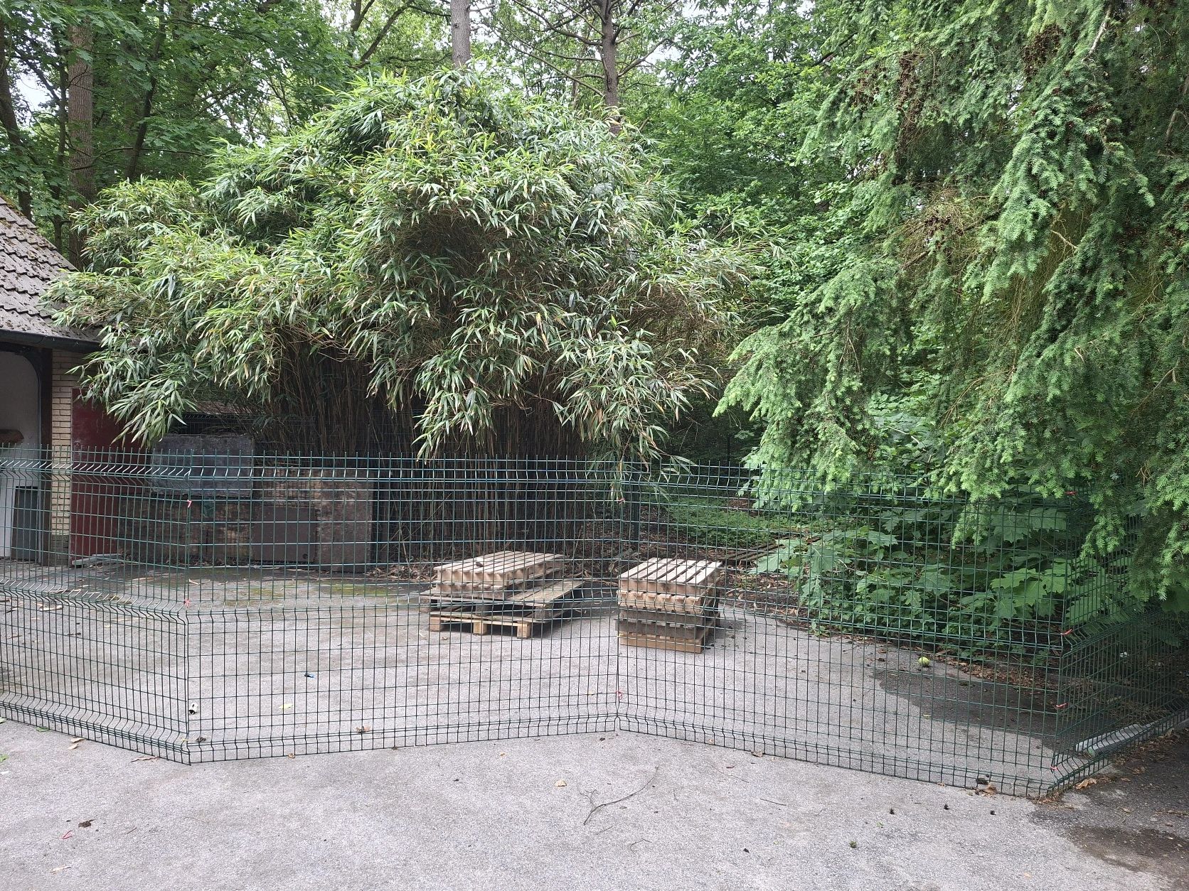image-16