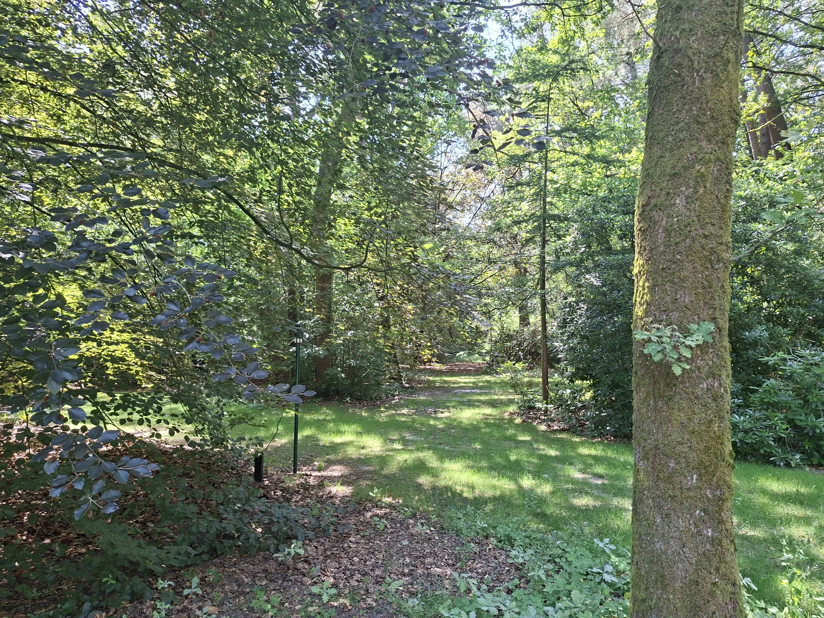 image-19