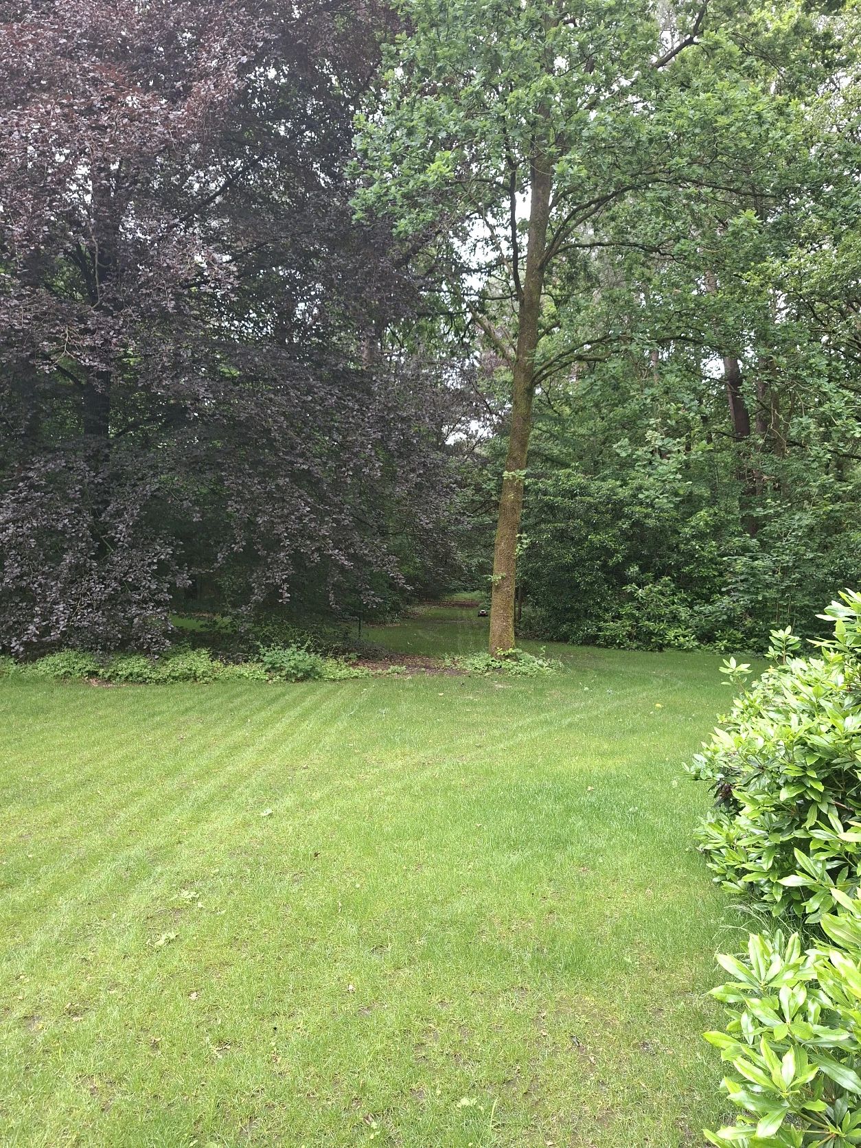 image-13