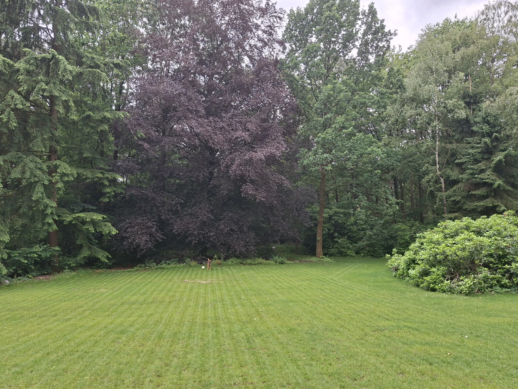 image-14