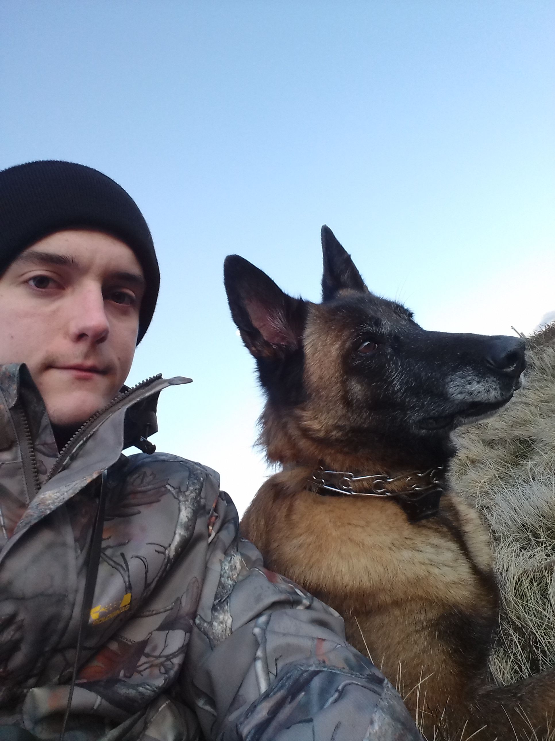image-7
