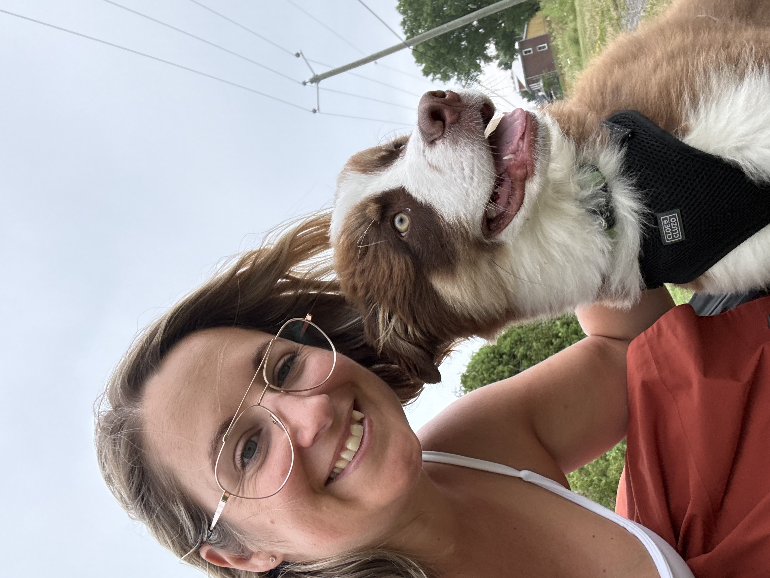 image-0
