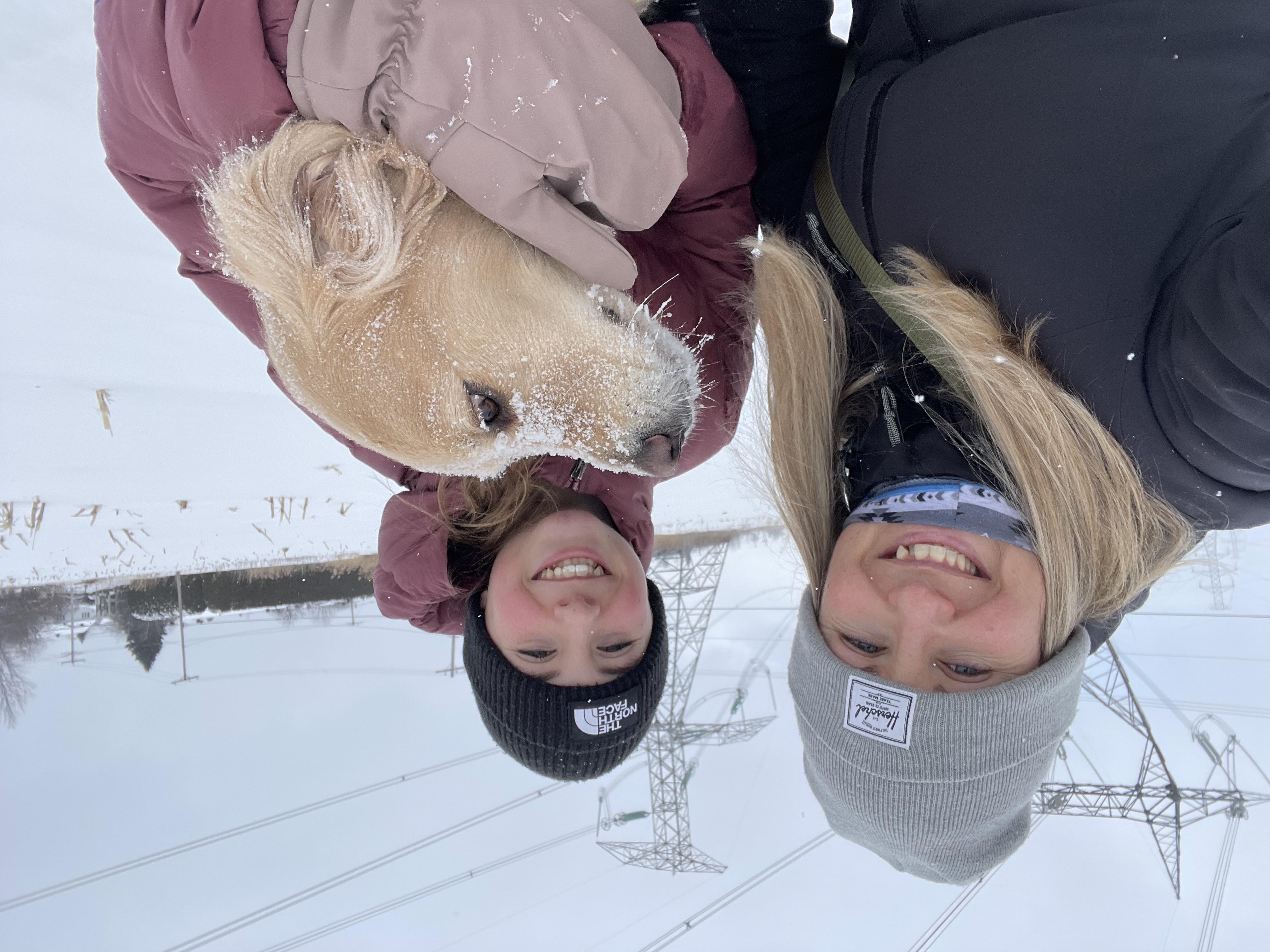 image-9