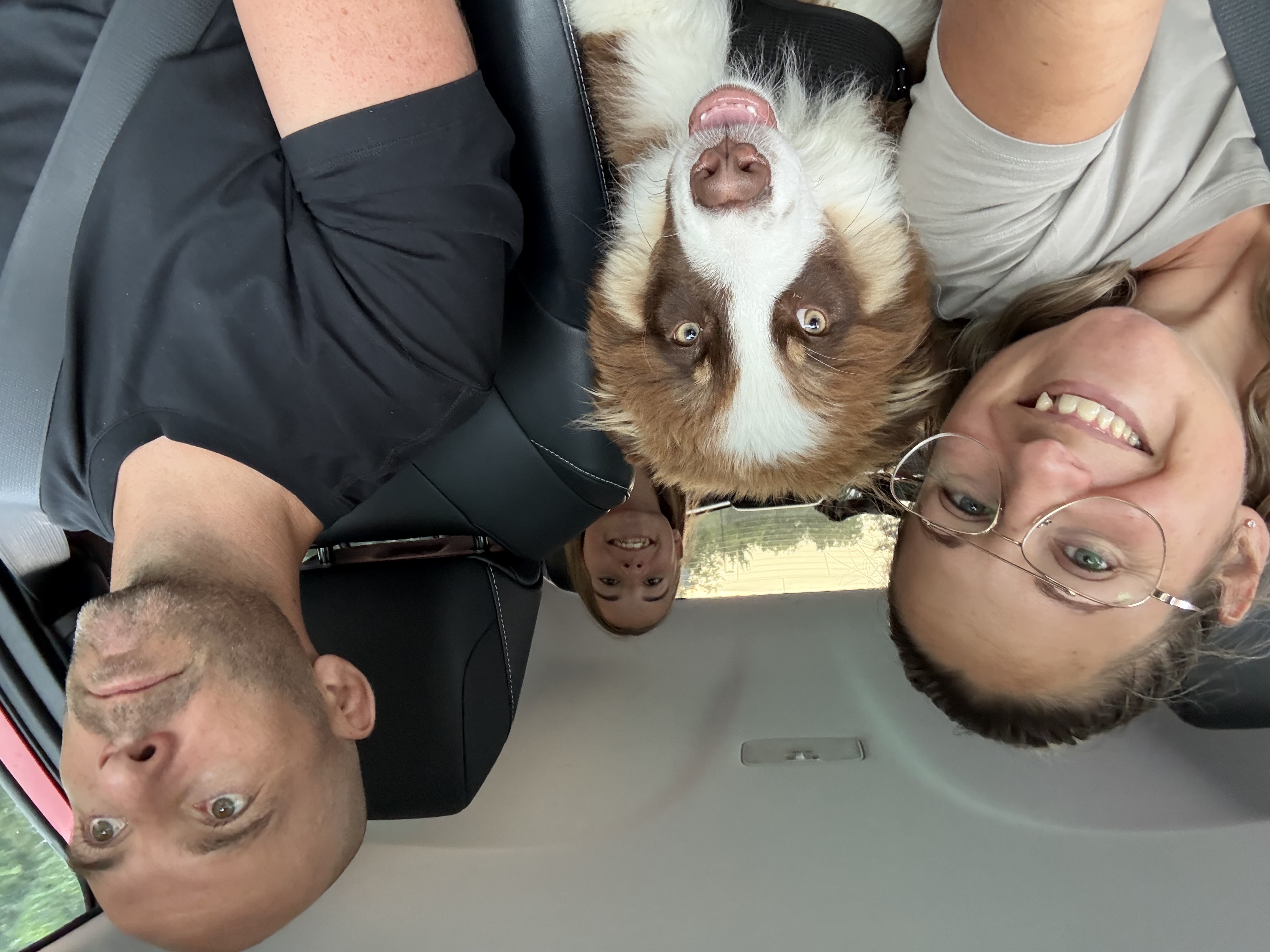 image-6