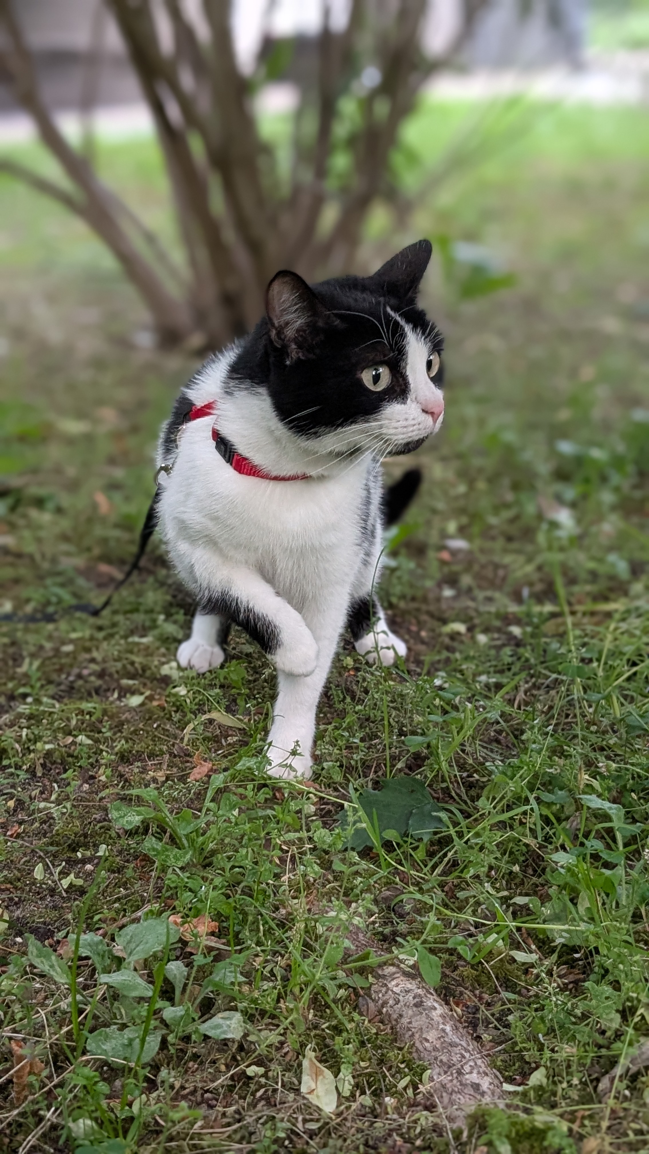 image-8