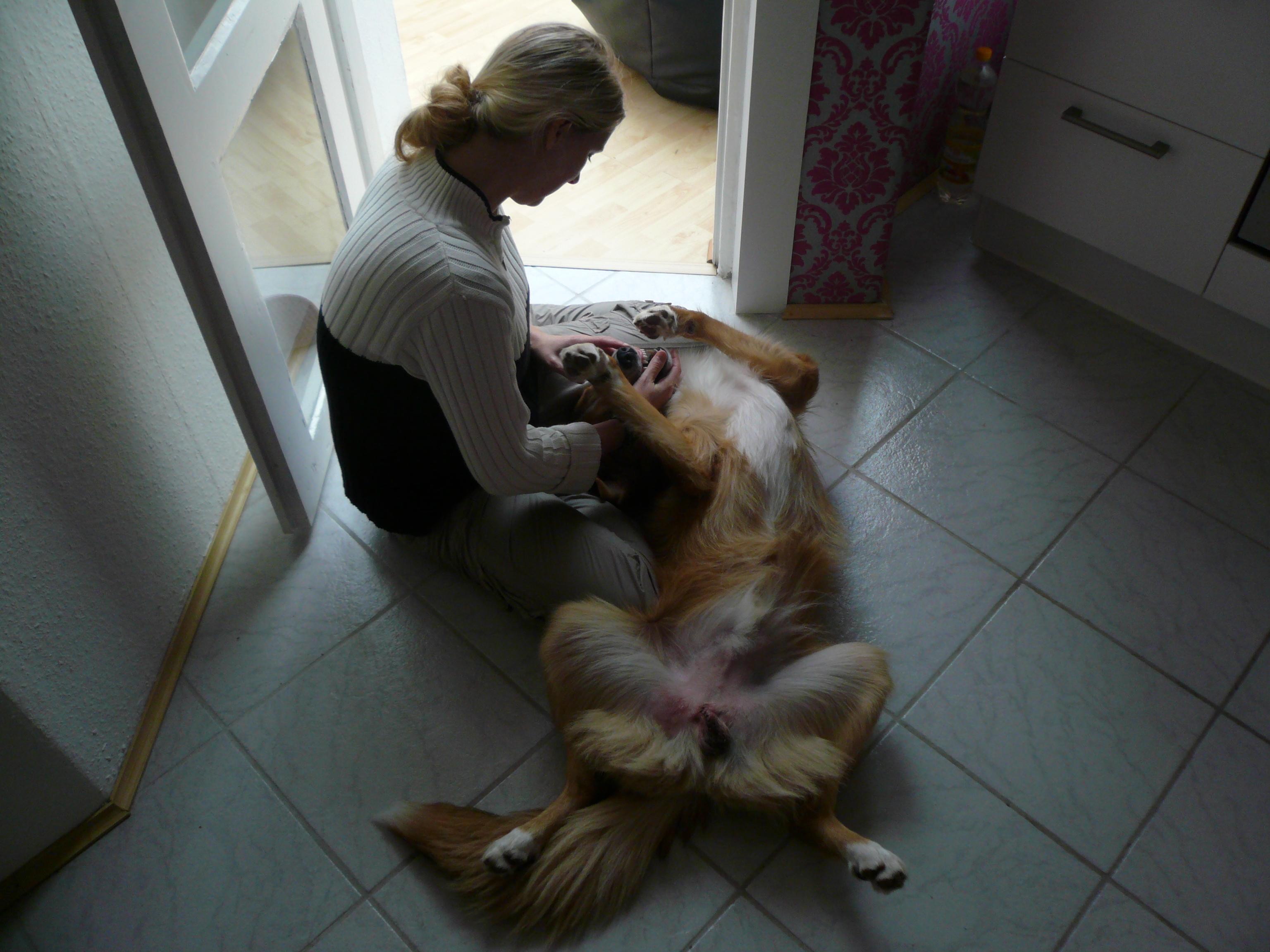 image-6