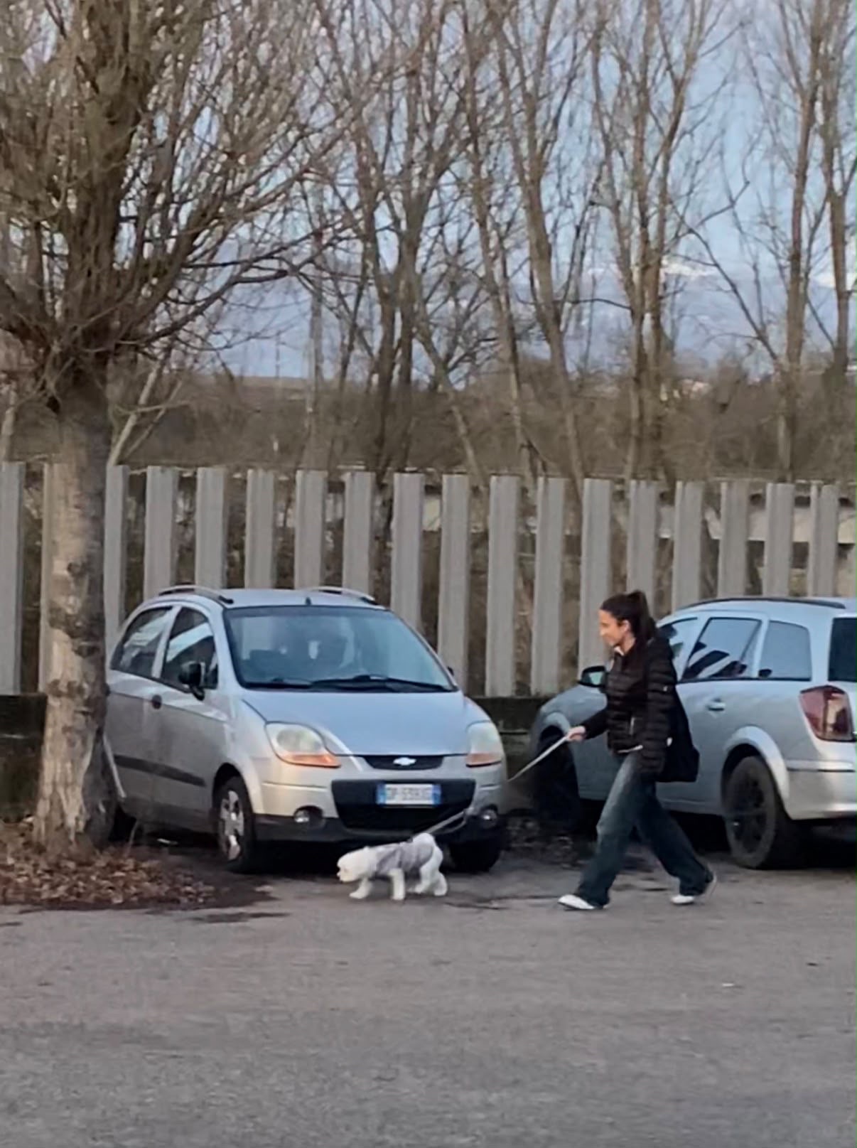 image-5