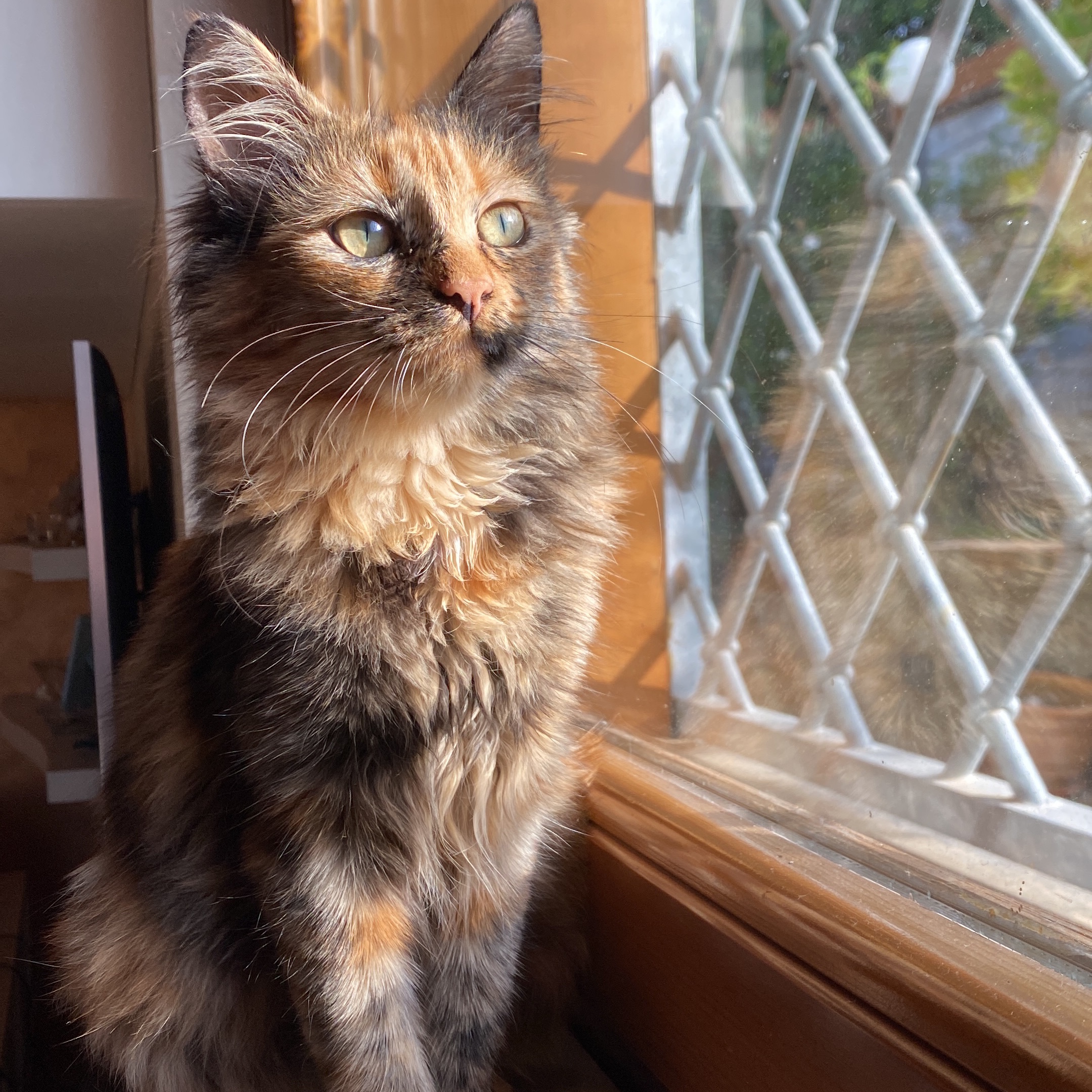 Yuki