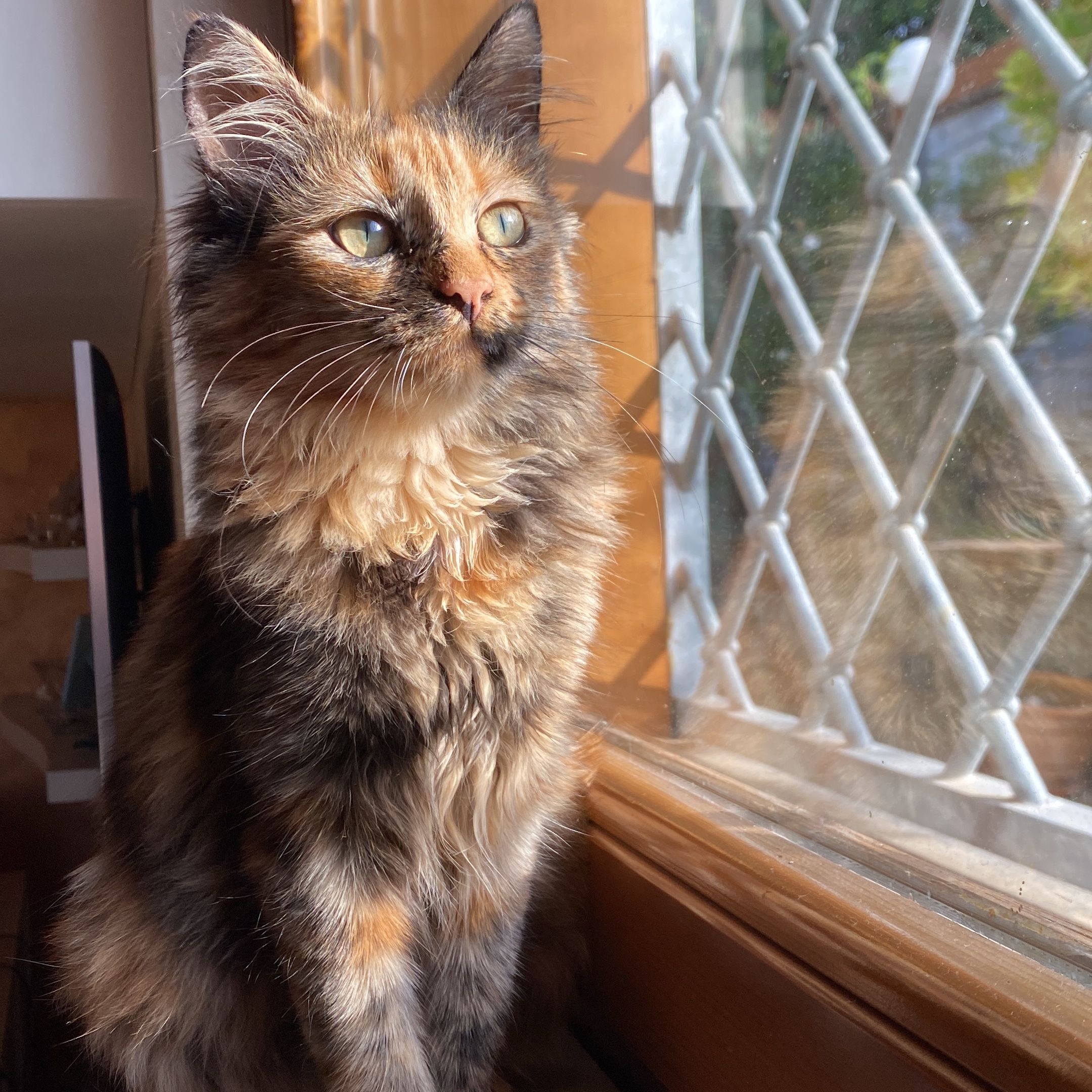 Yuki
