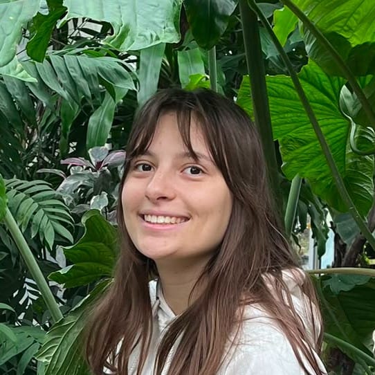 Zoé