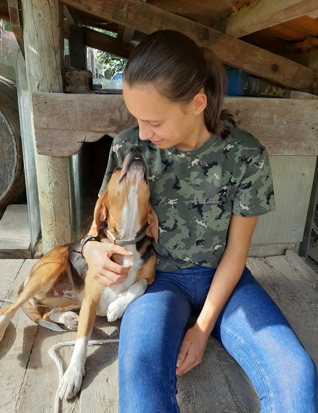 image-5