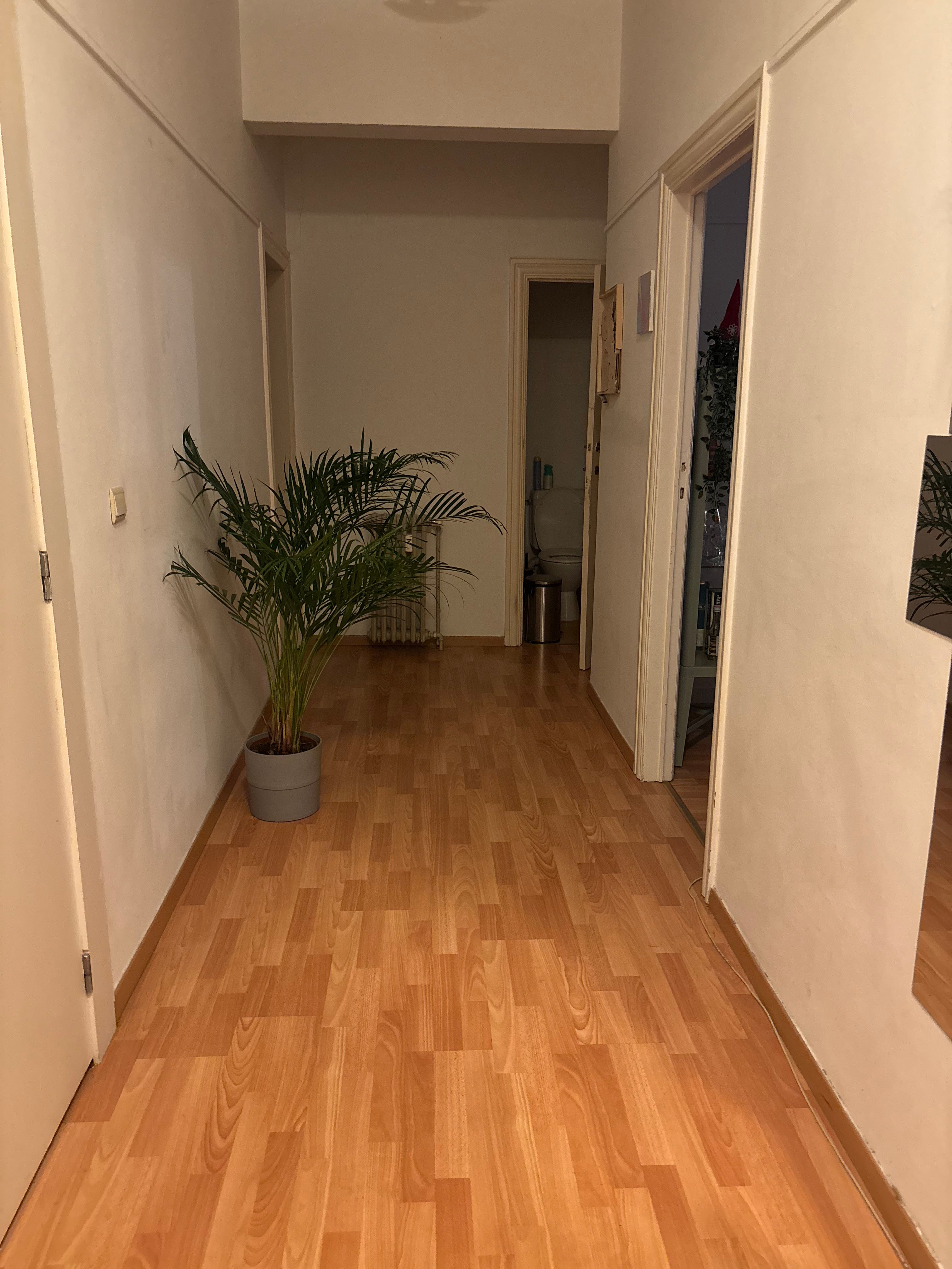 image-18