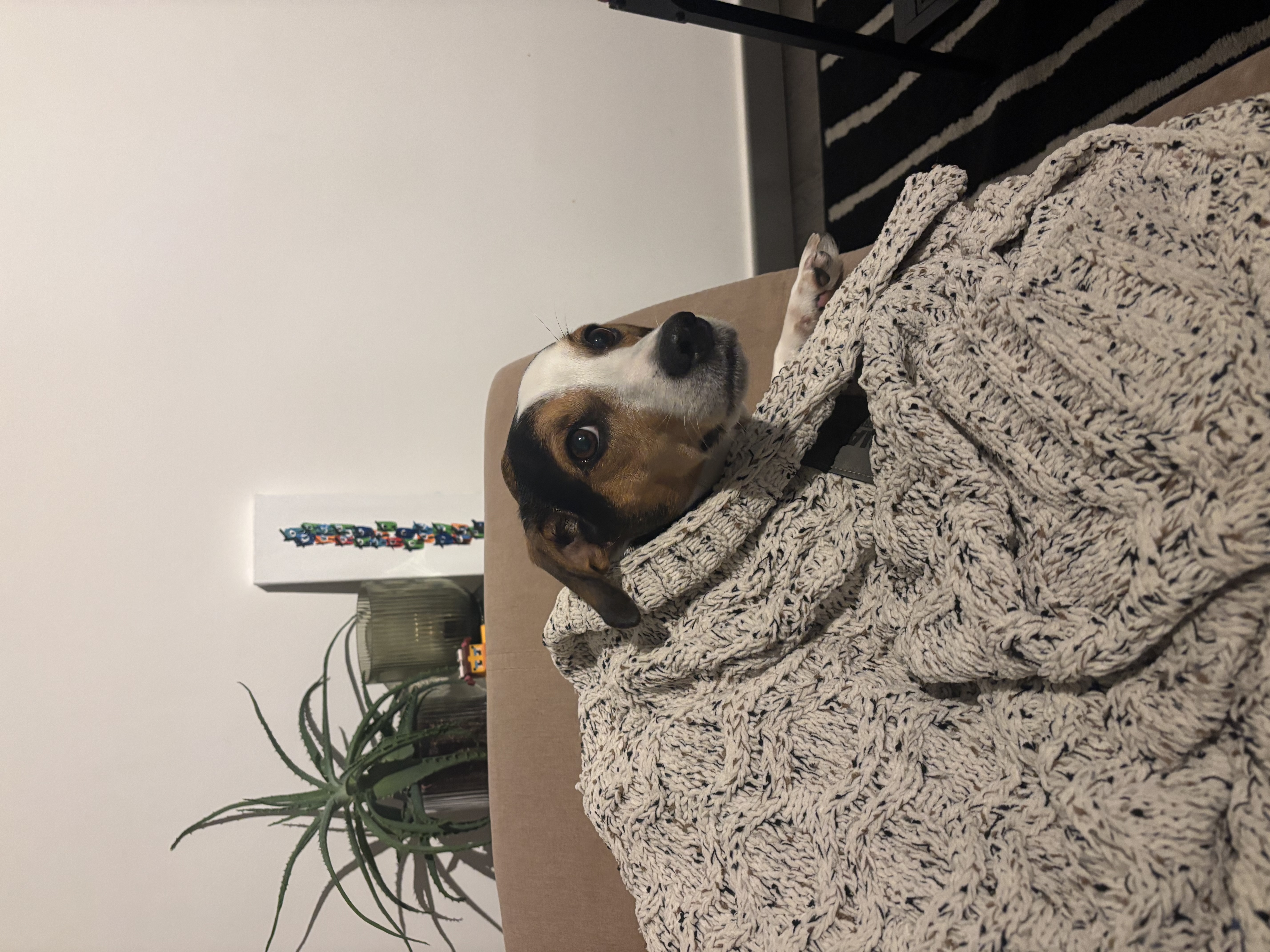 image-16