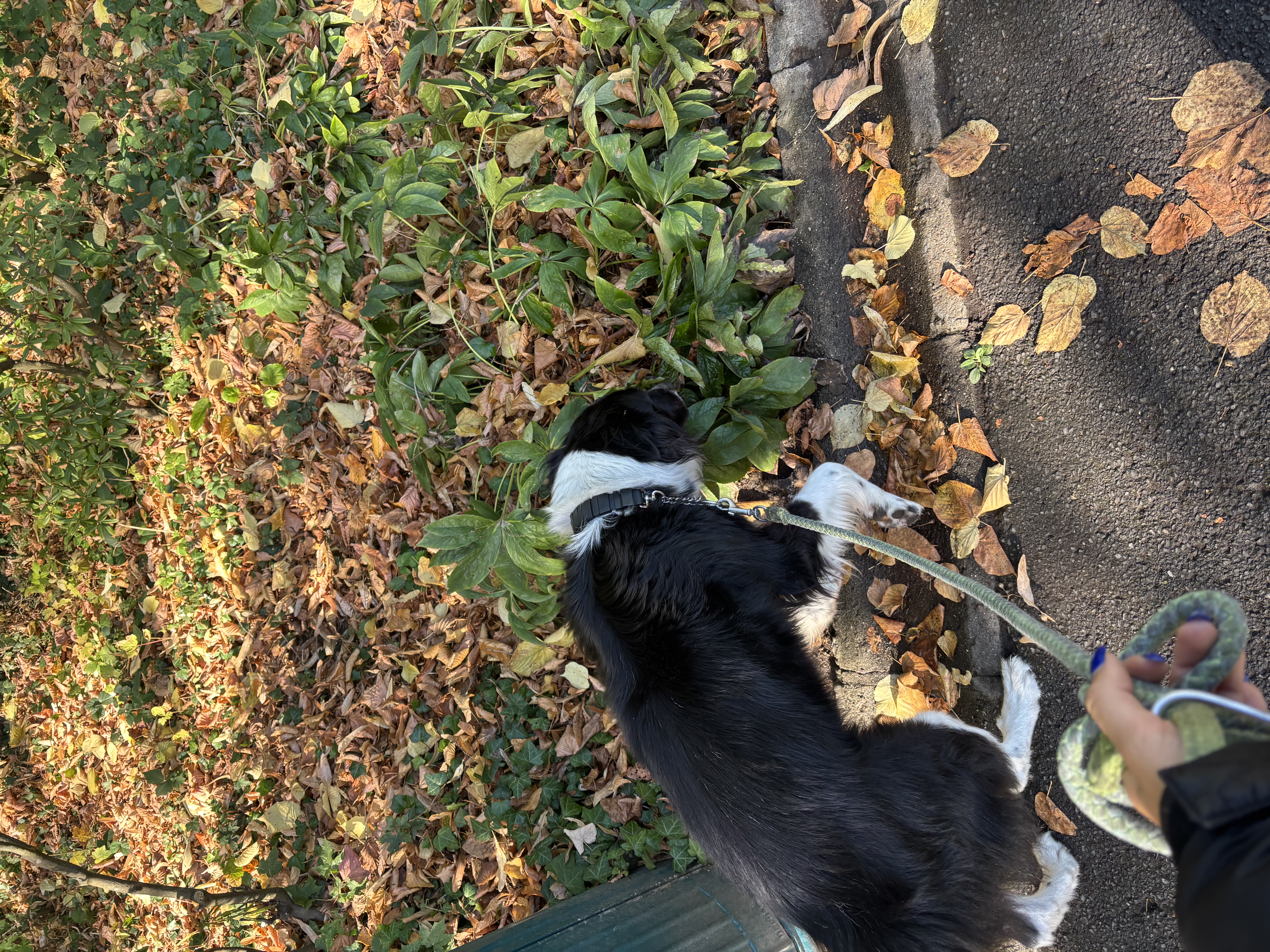 image-14