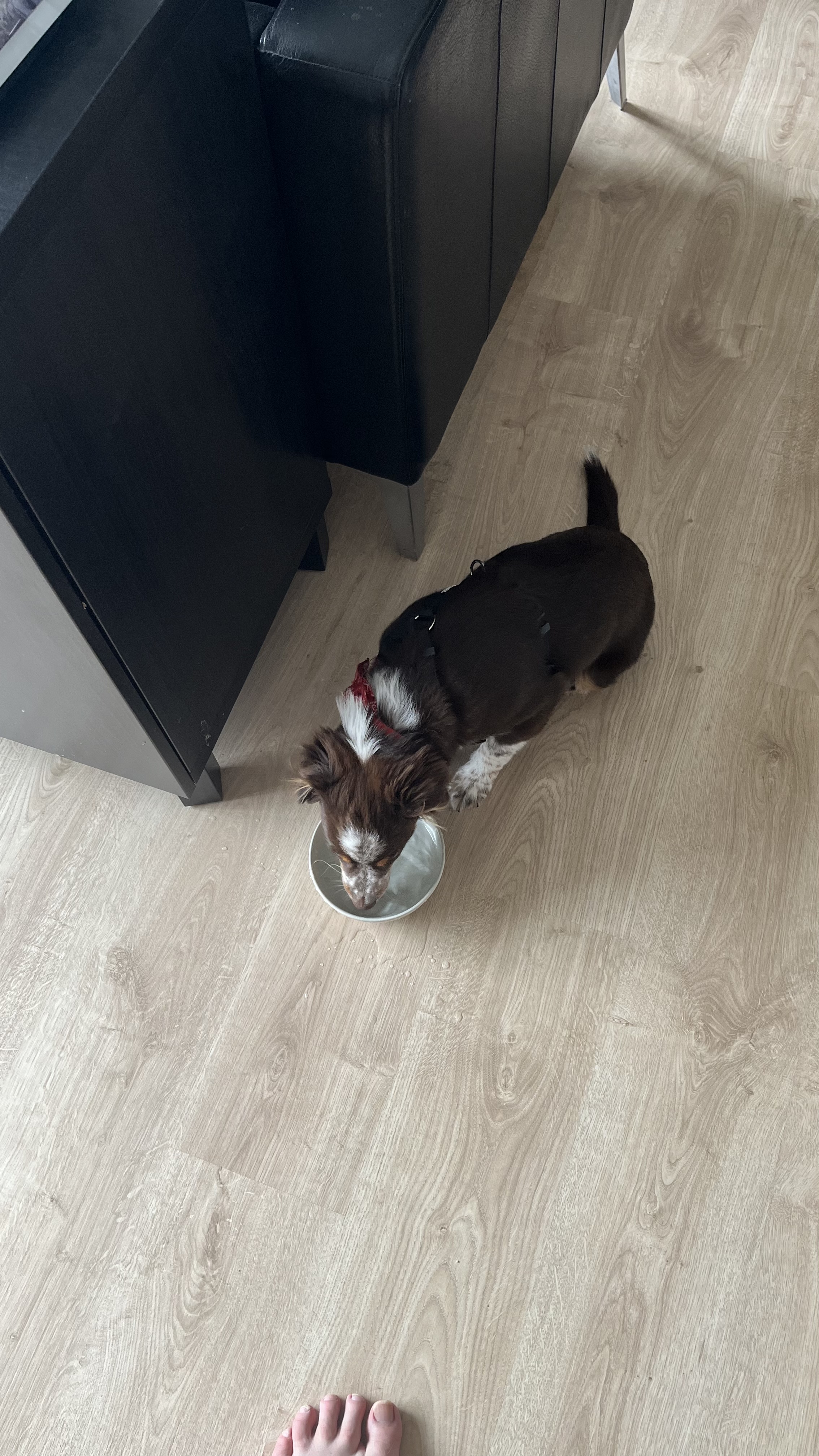 image-6