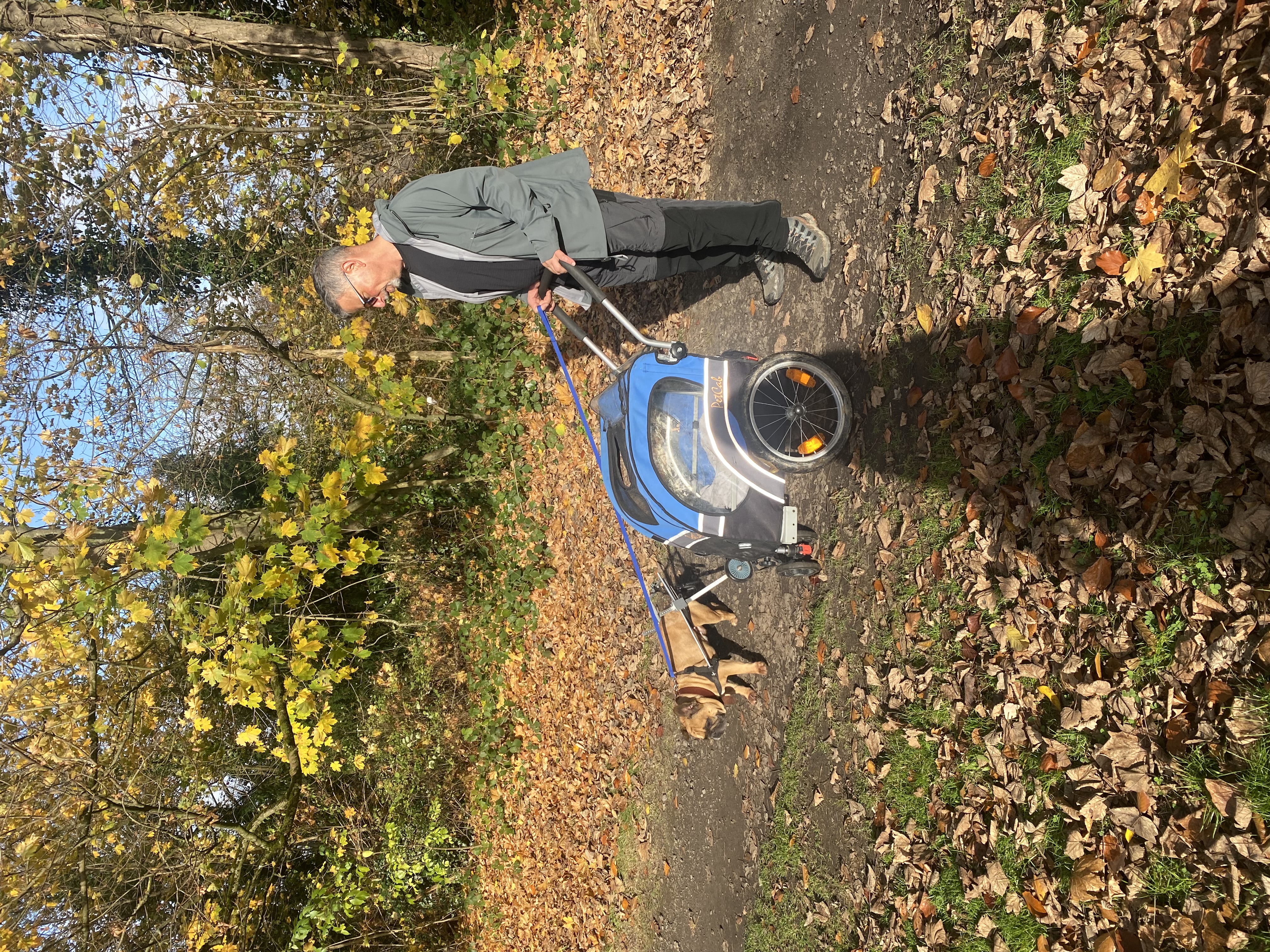 image-17
