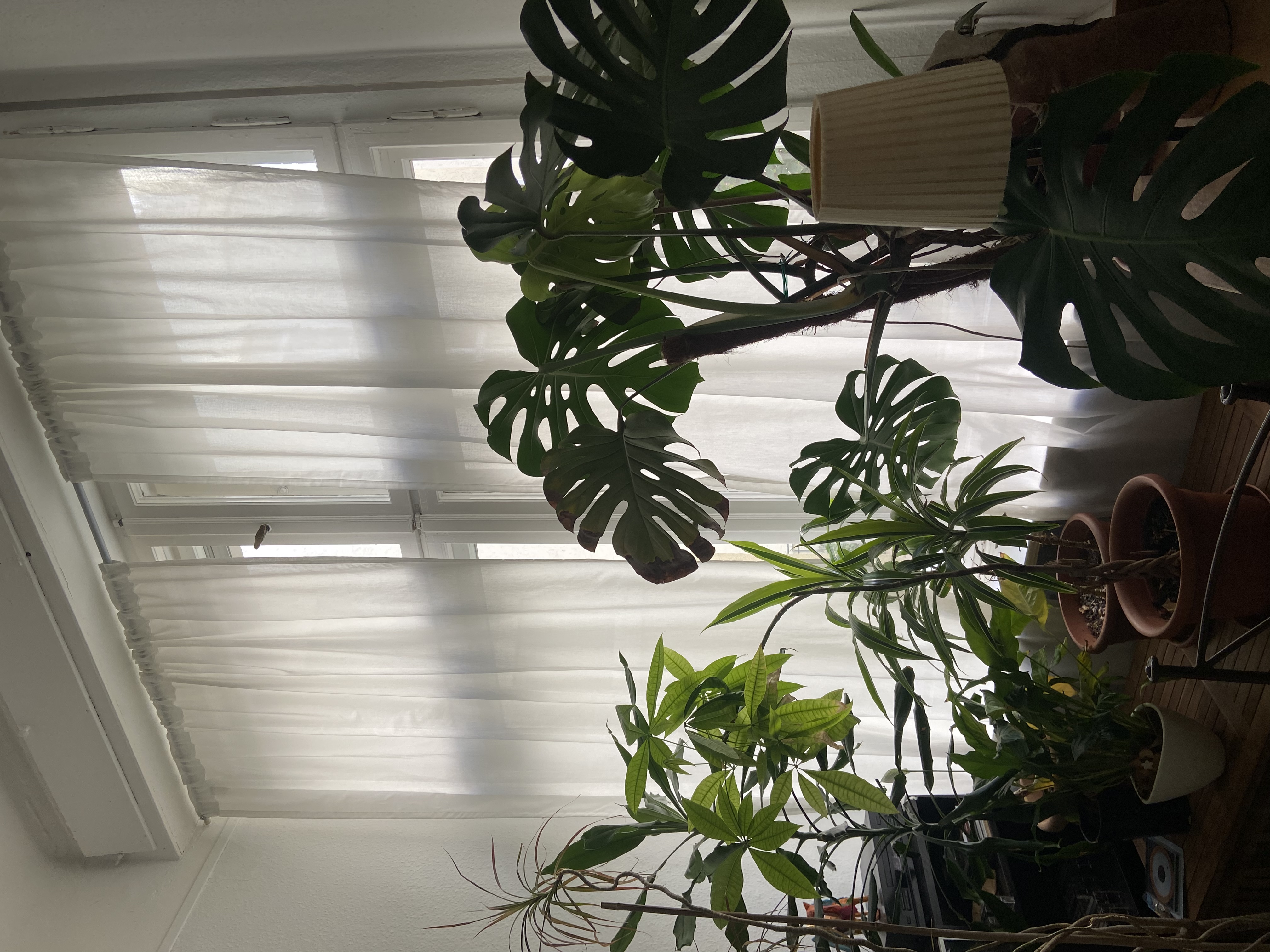image-17