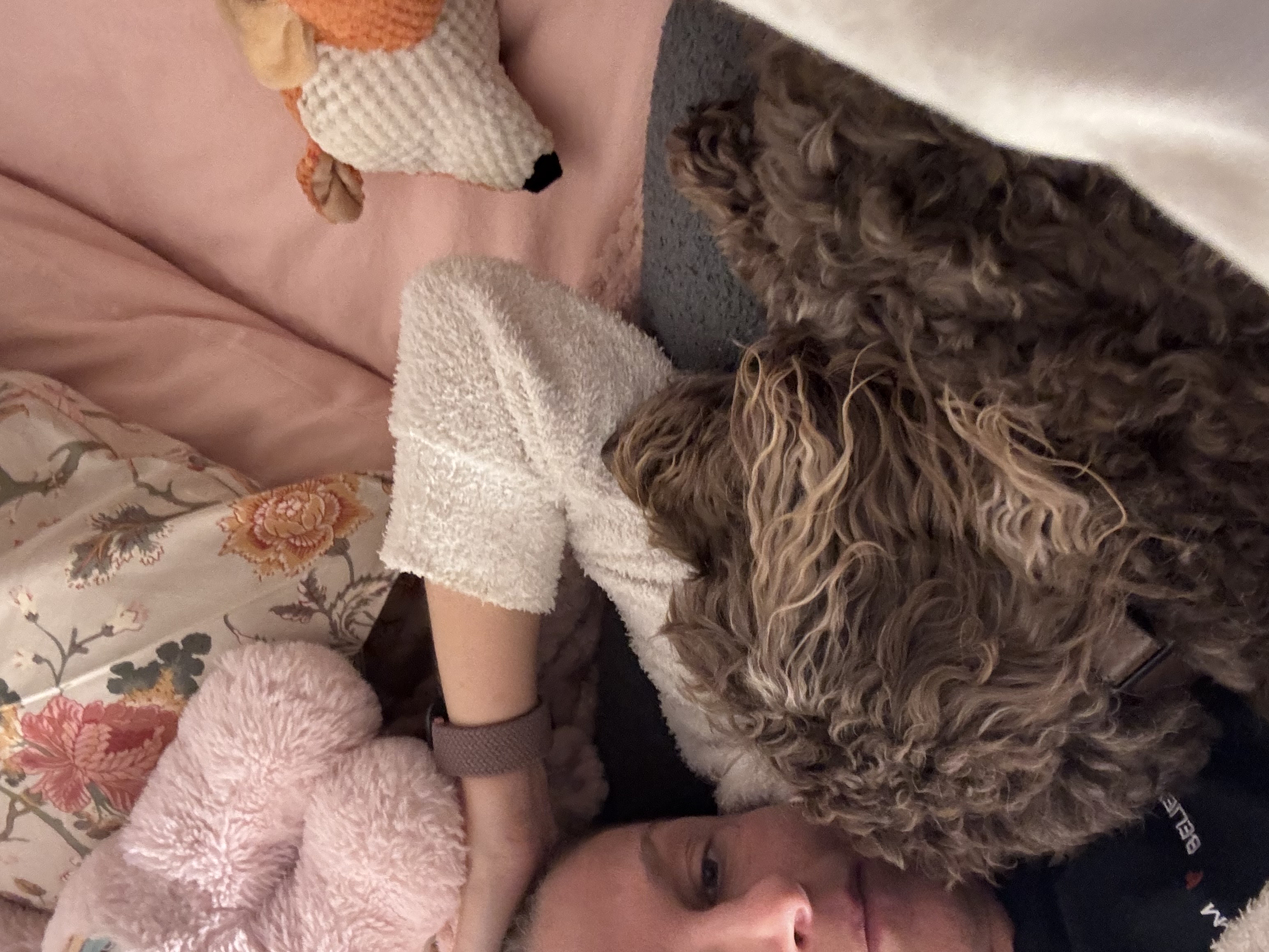 image-14
