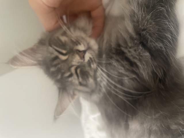 image-14