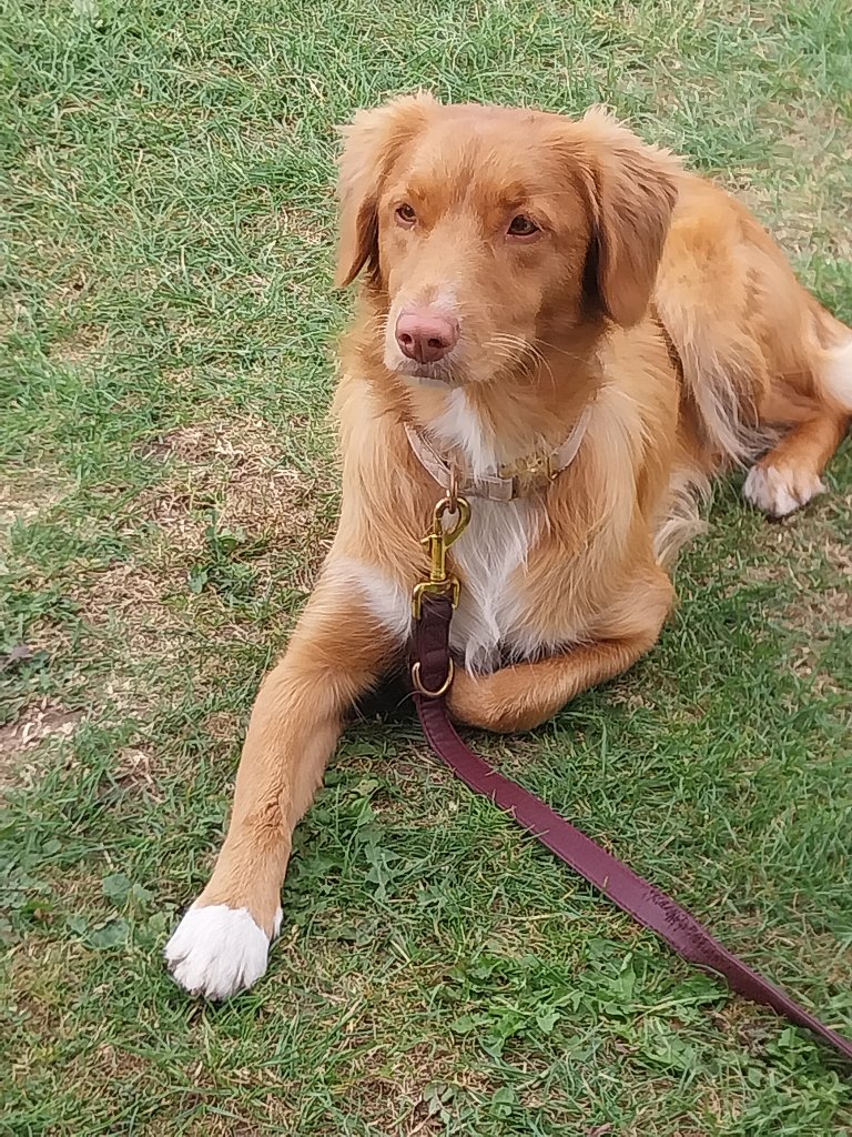 Estelle