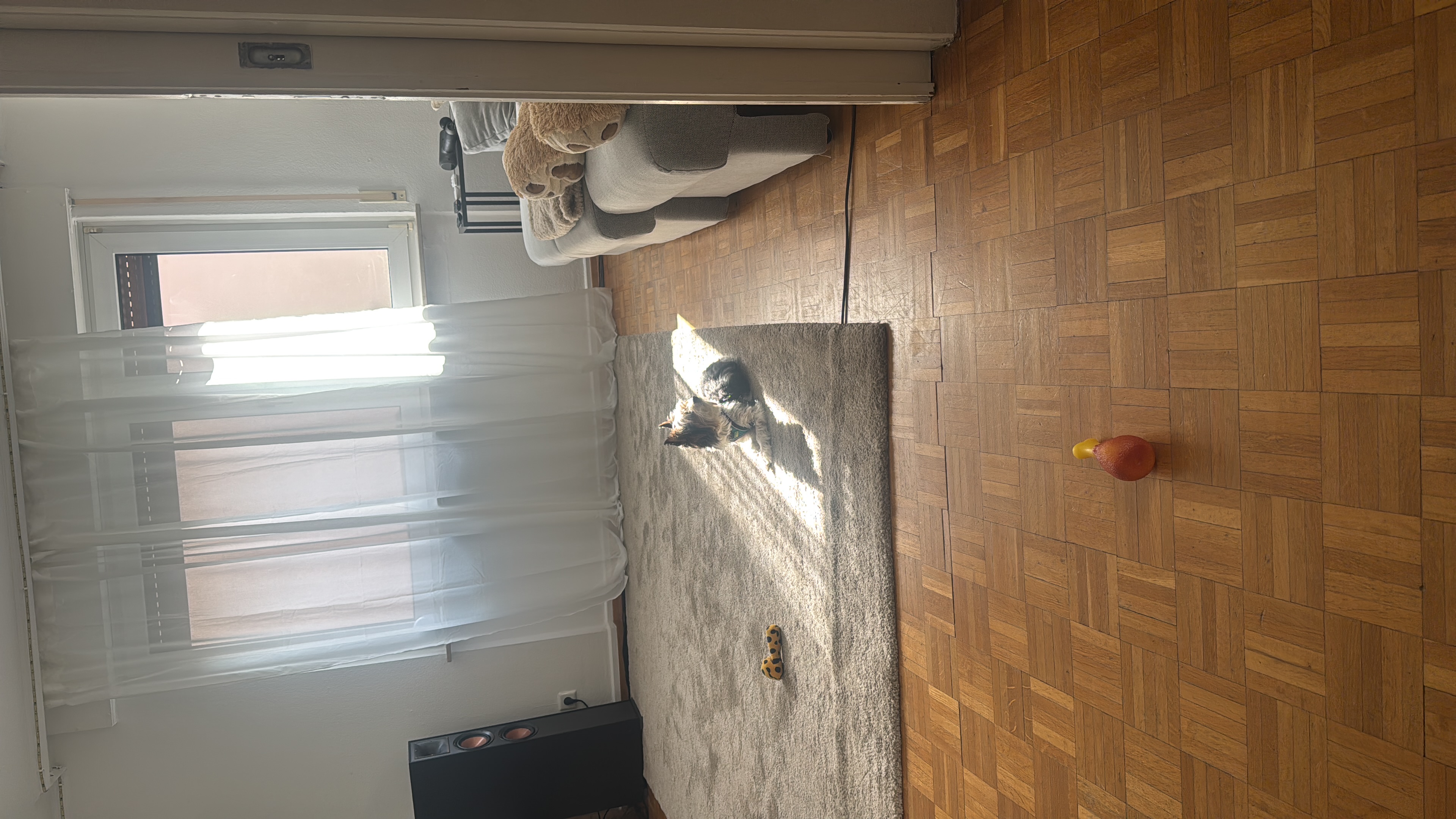 image-19