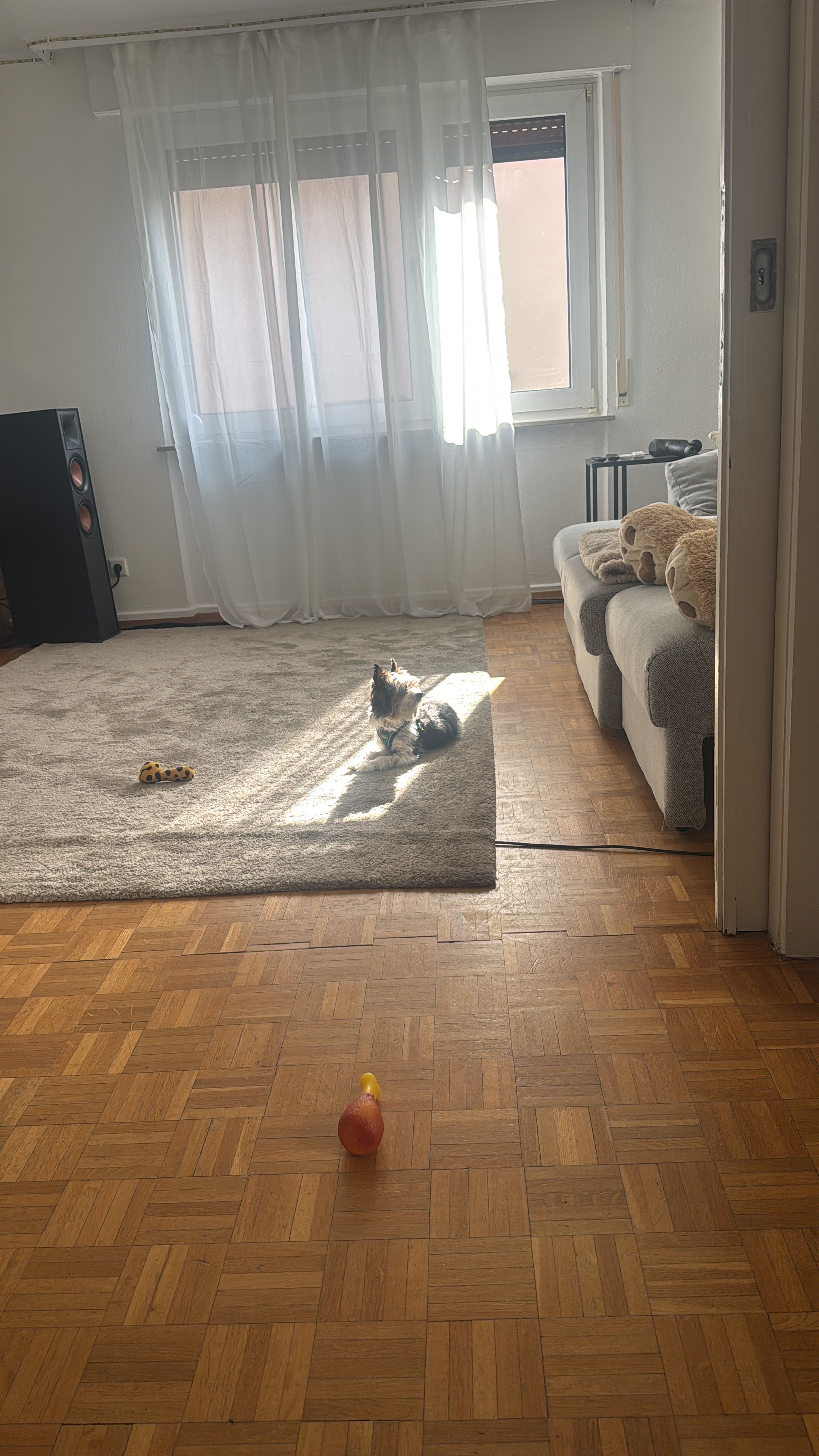 image-19