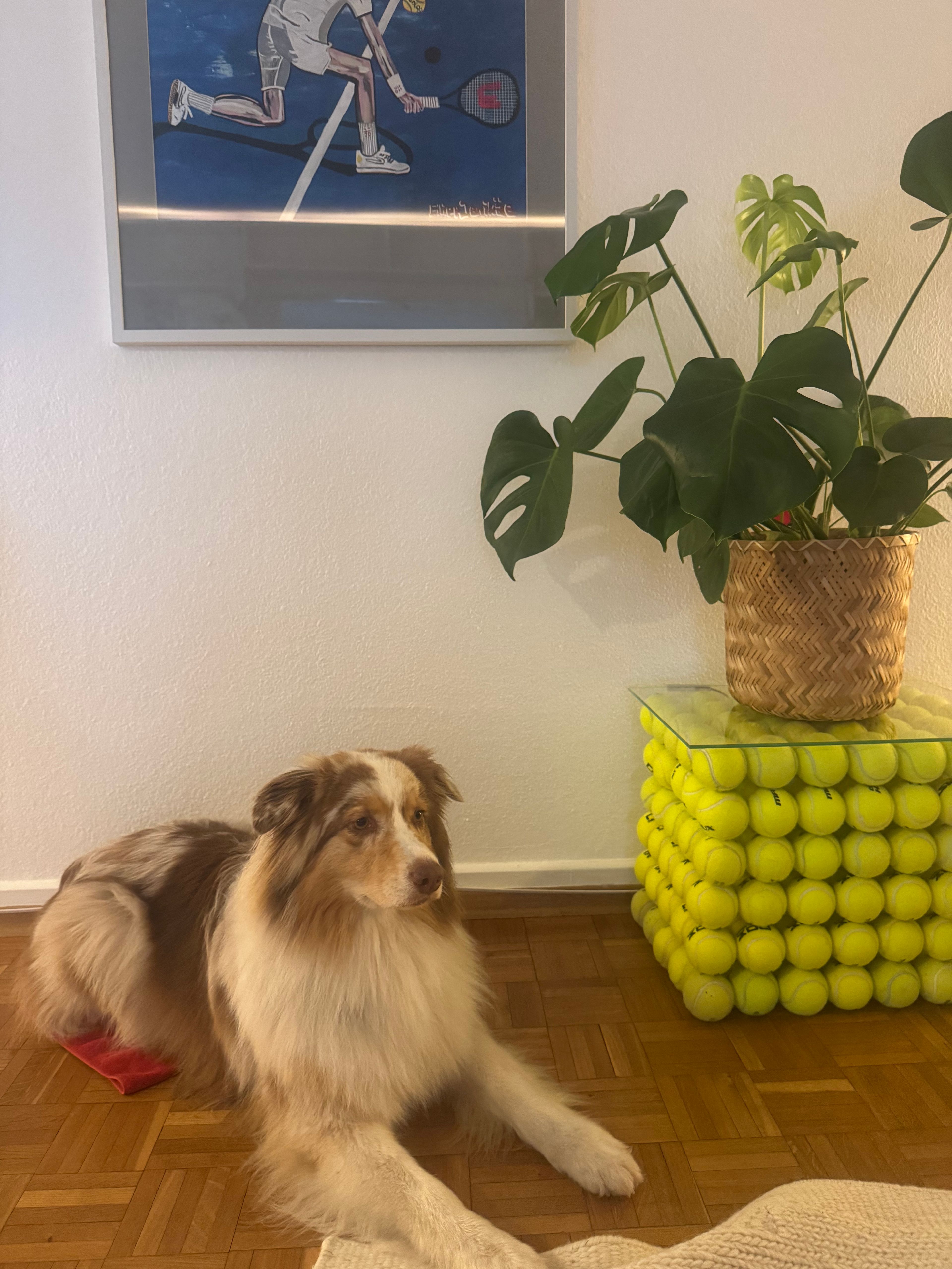 image-18