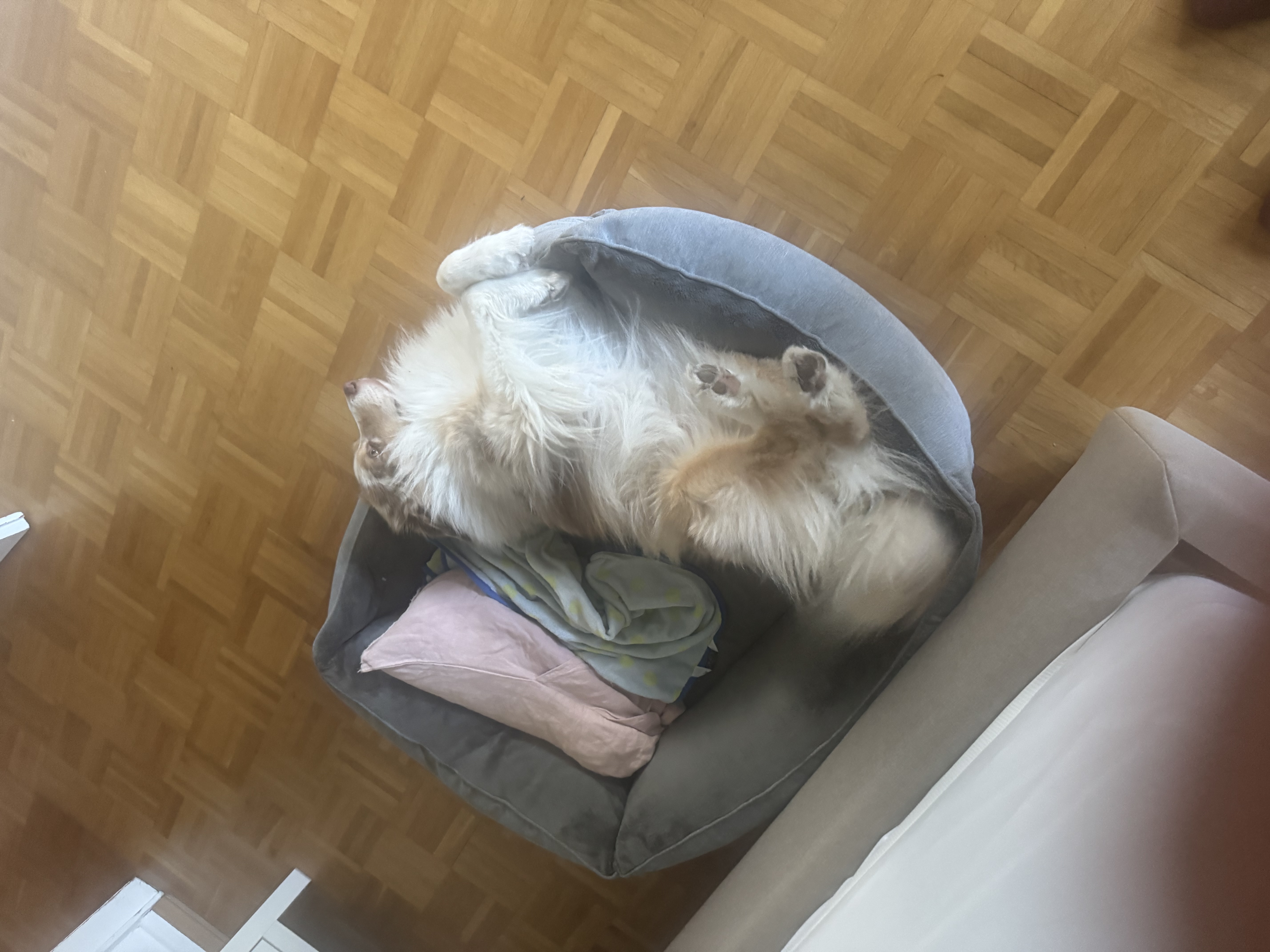 image-16