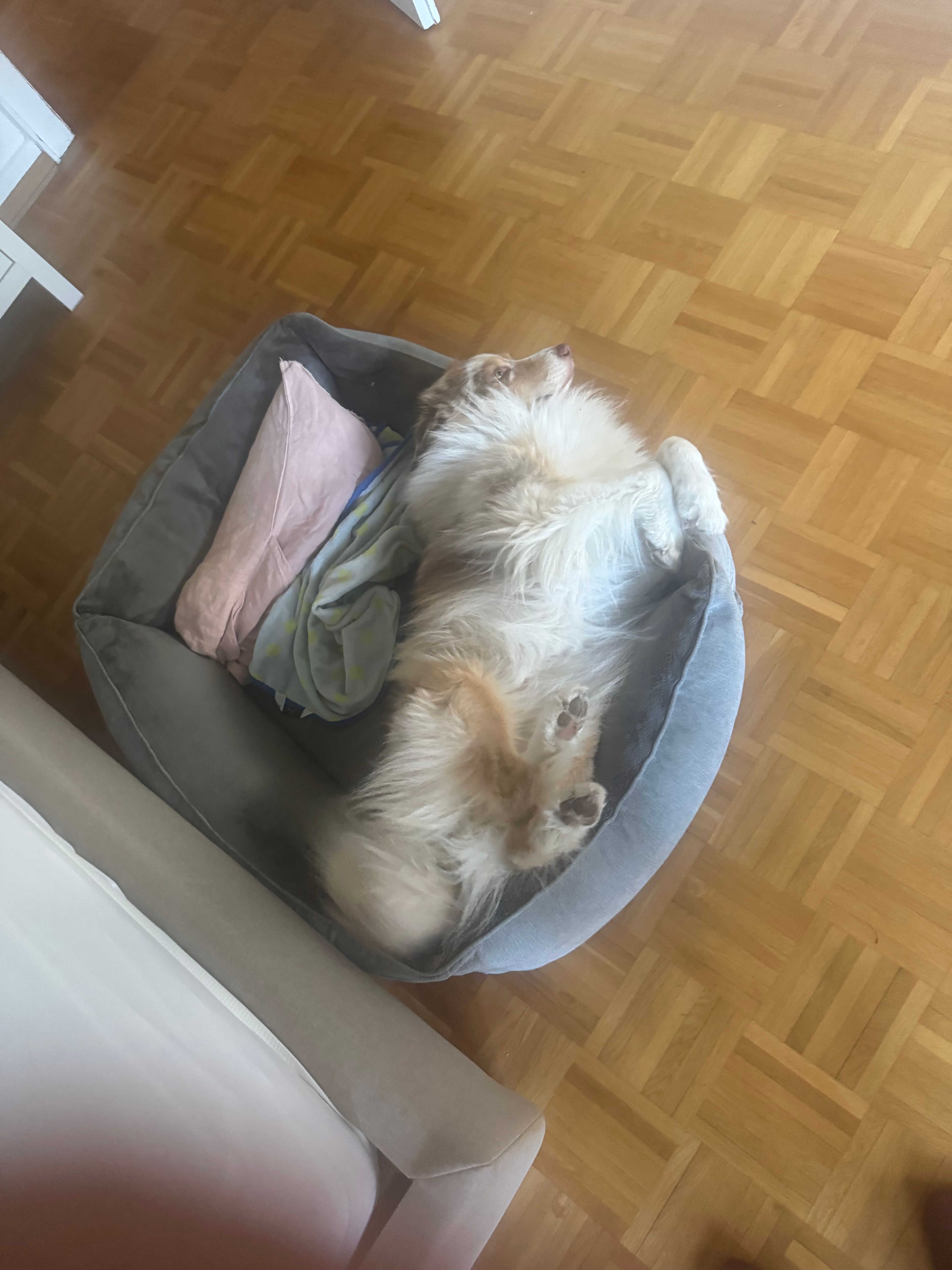 image-16