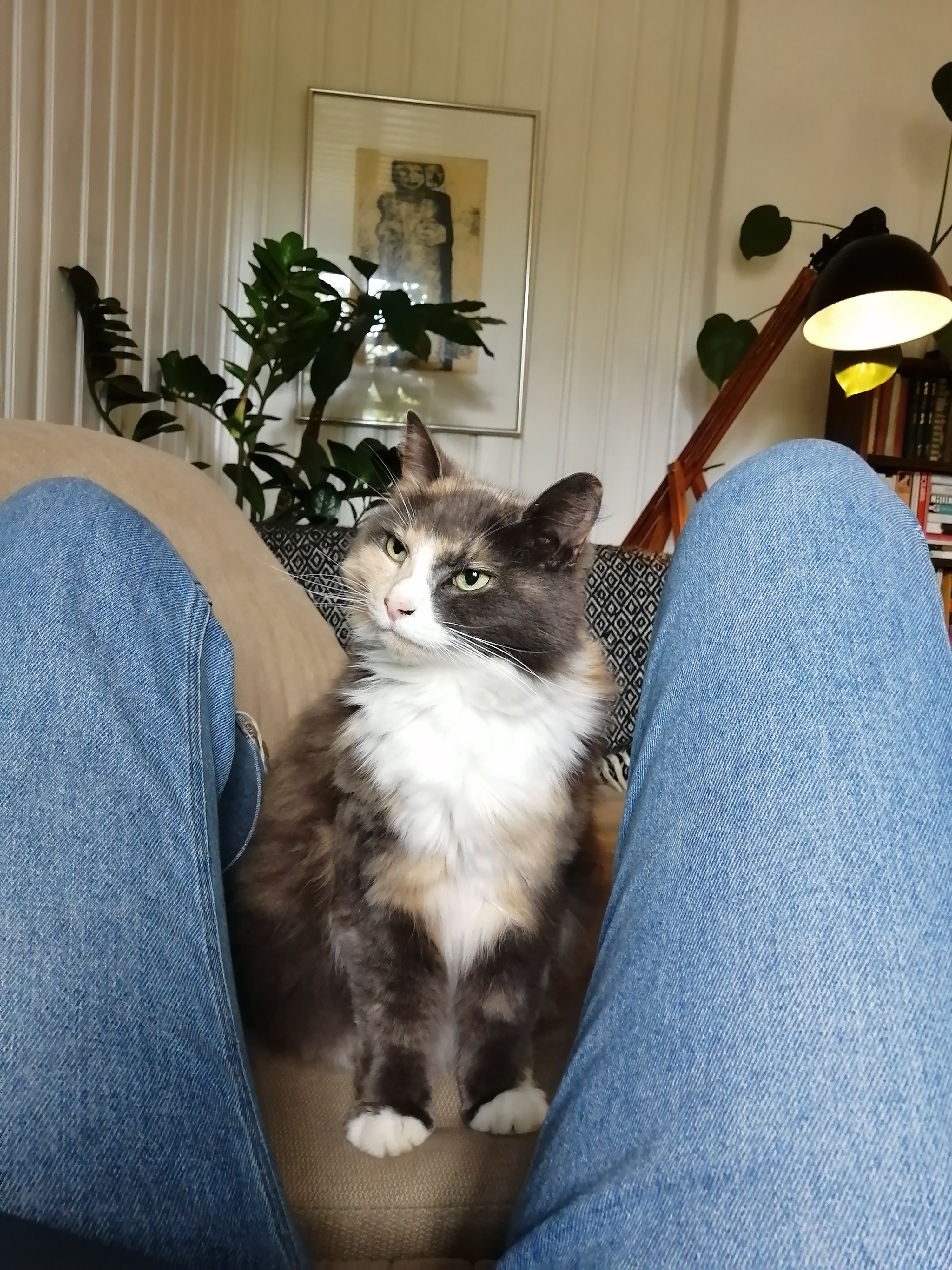 image-3