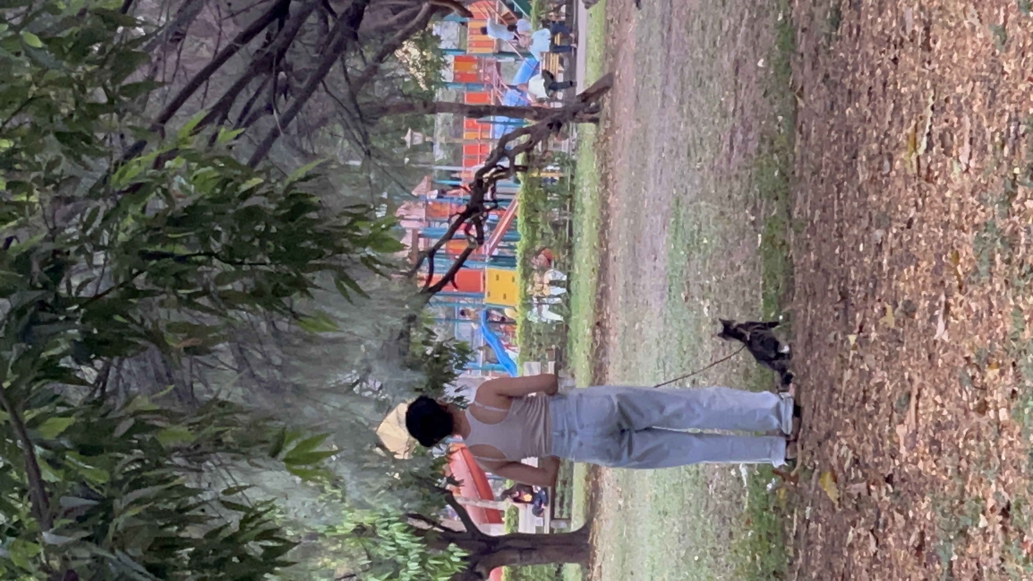 image-9