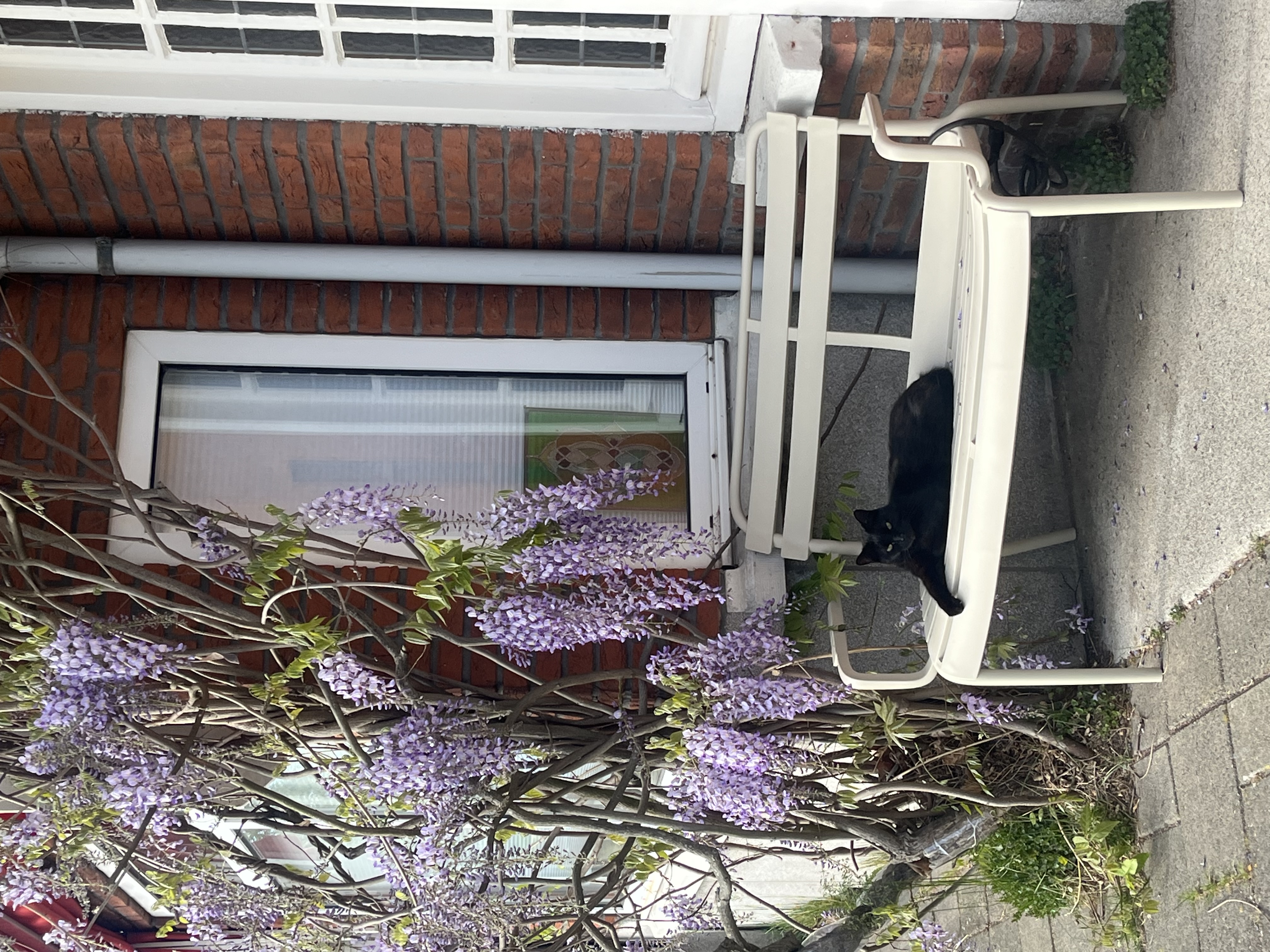 image-10