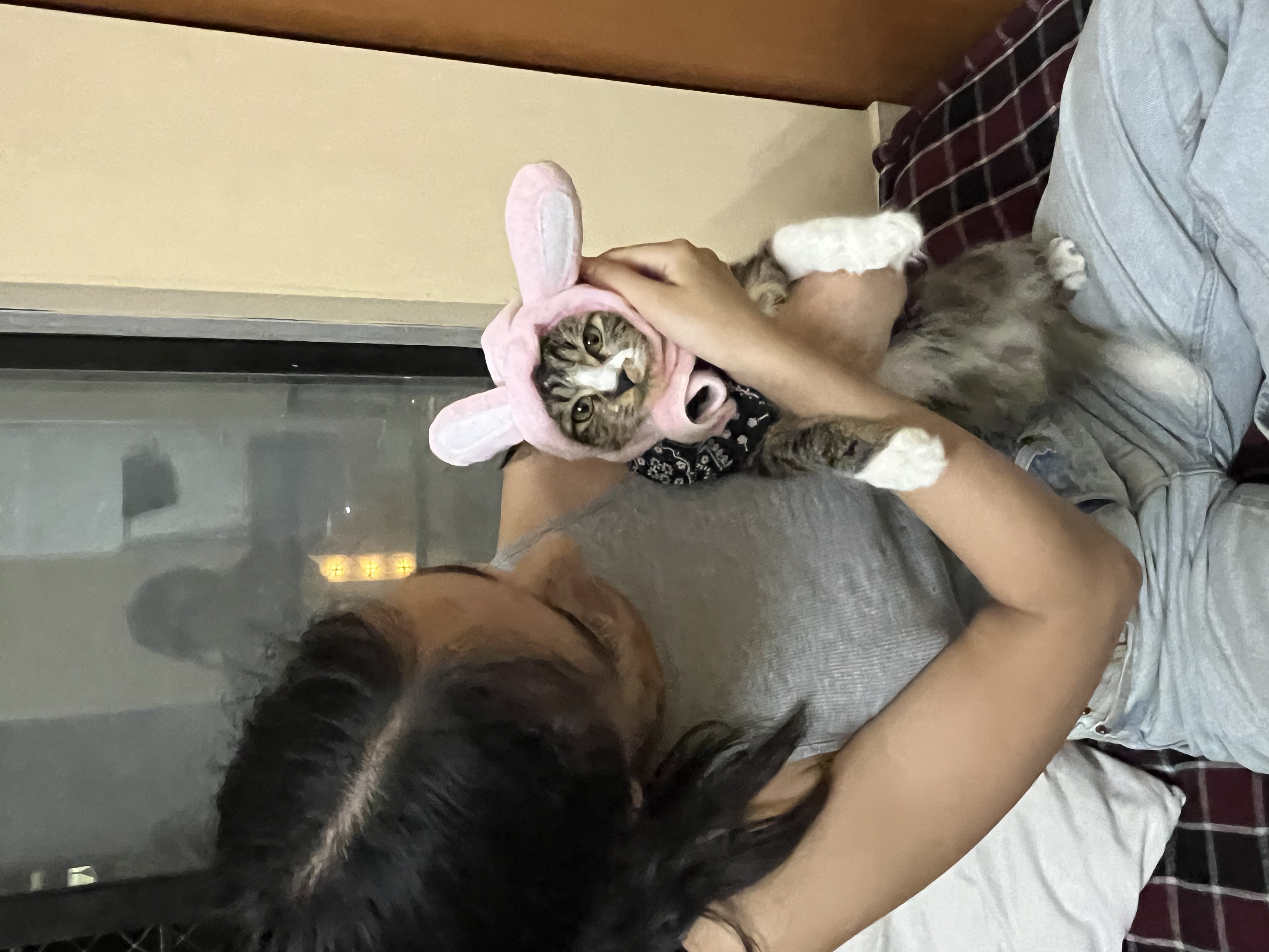 image-8
