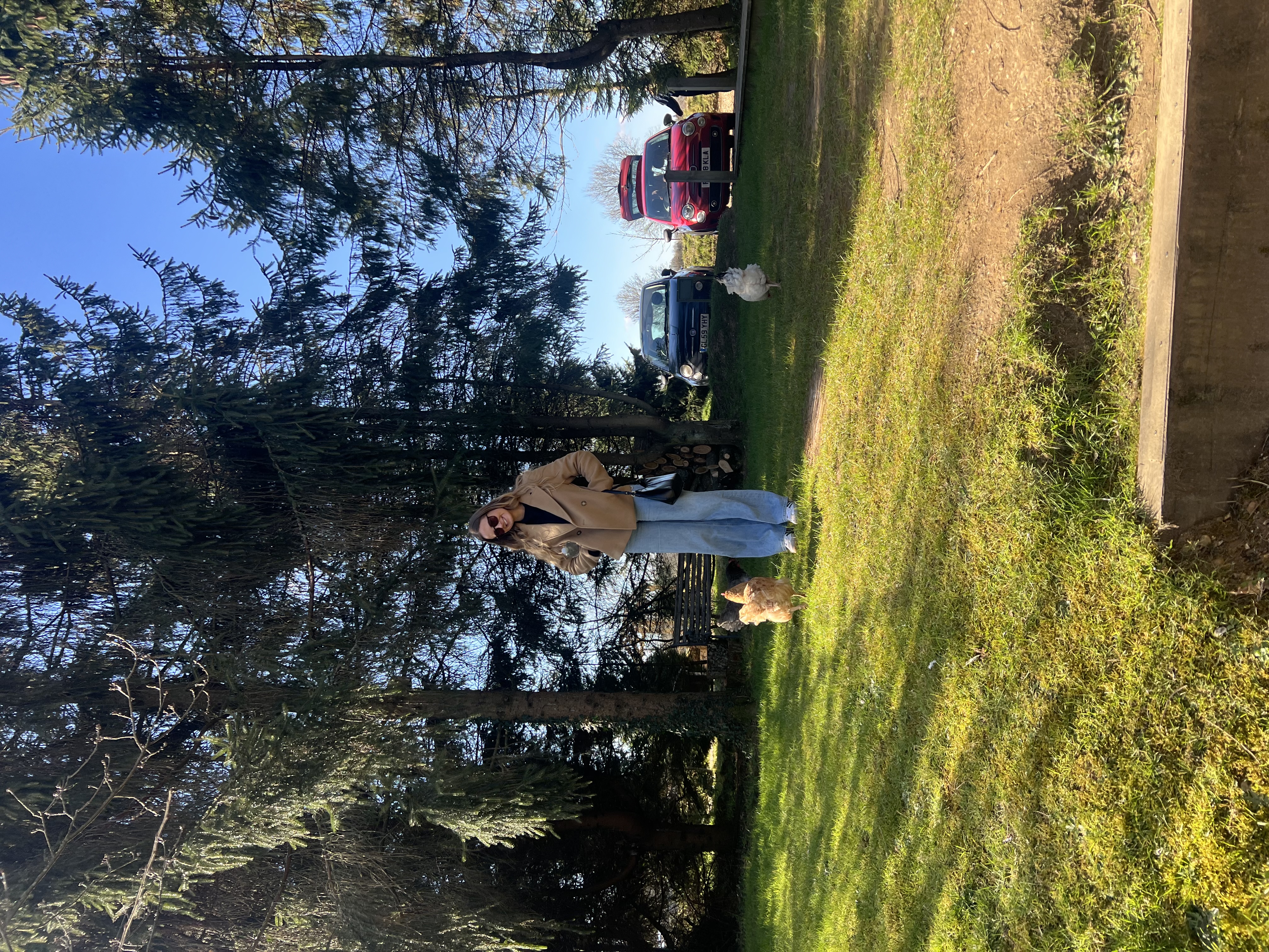 image-13