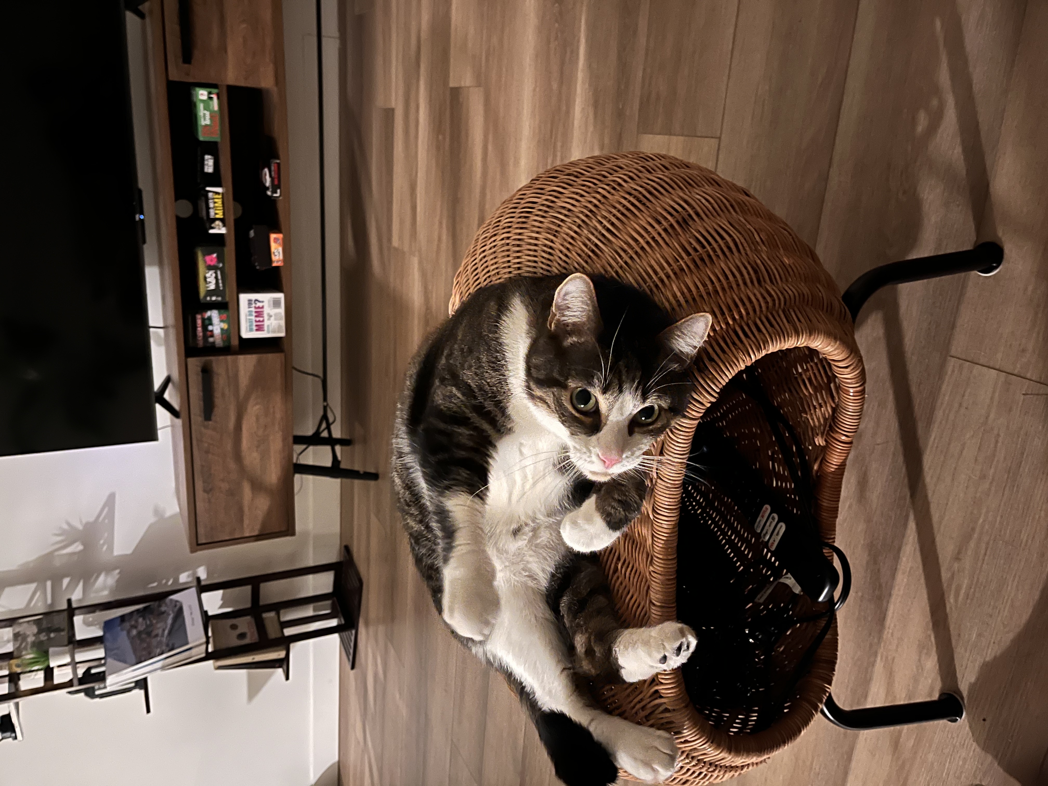 image-13