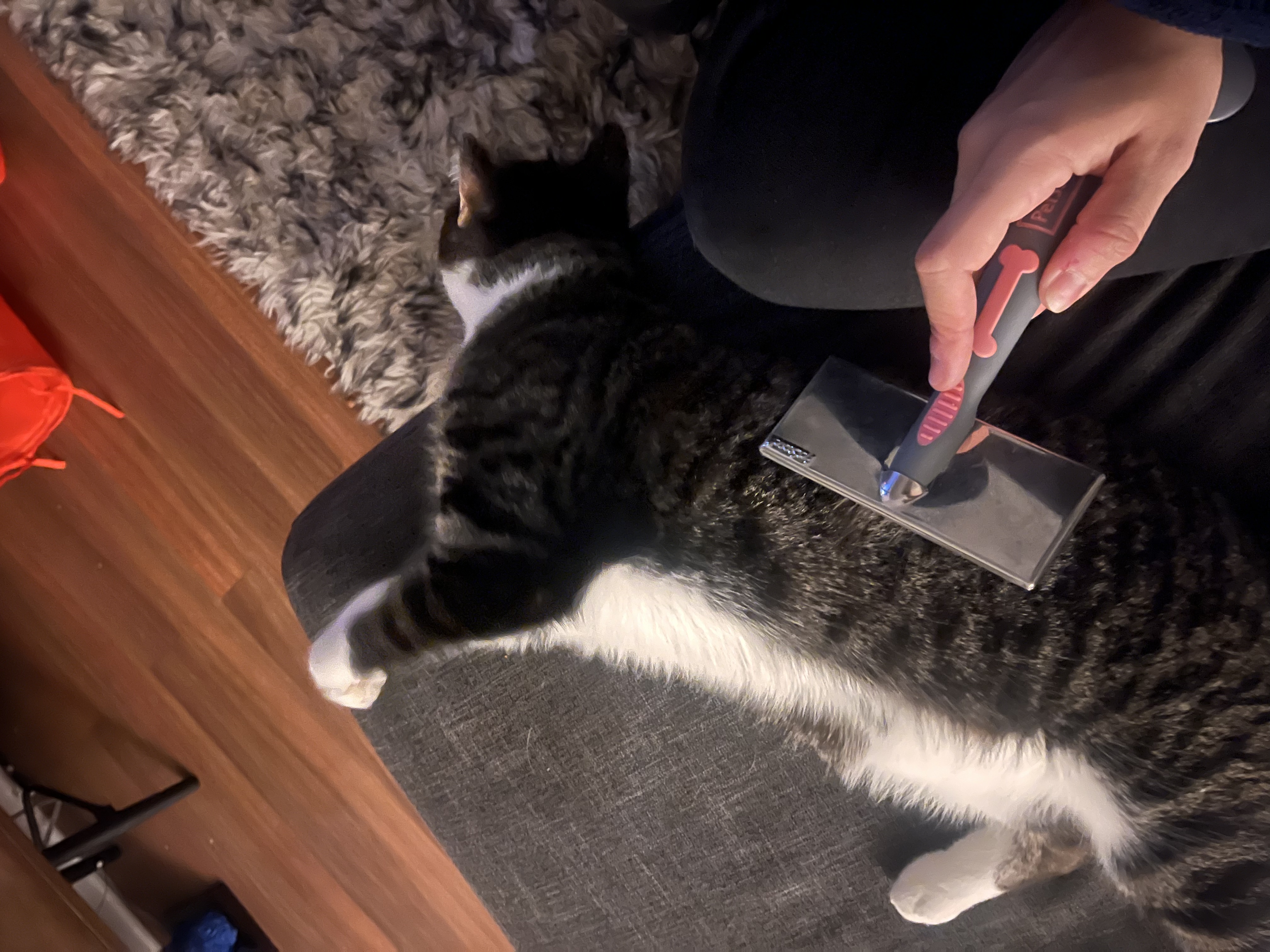 image-11