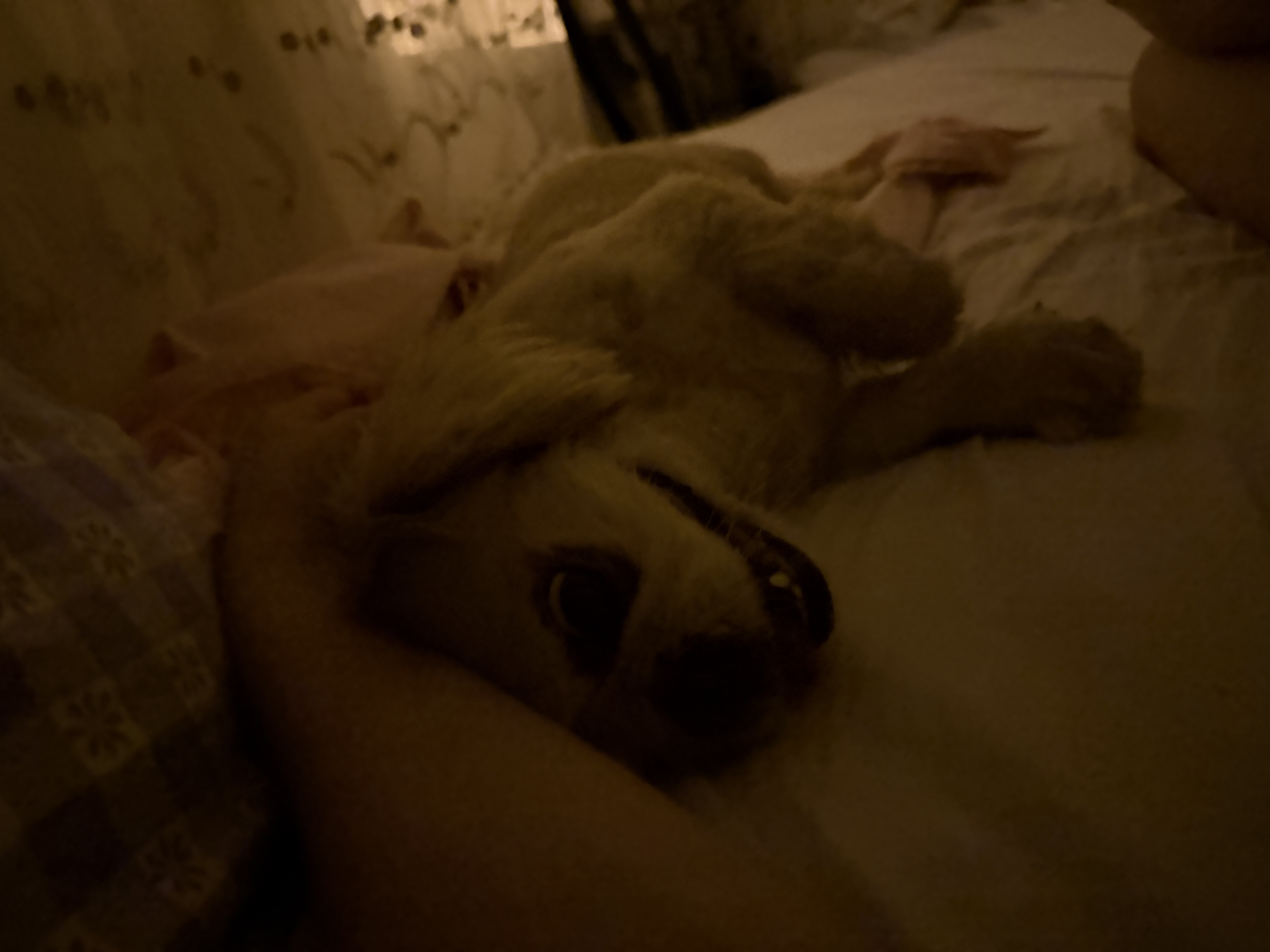 image-9