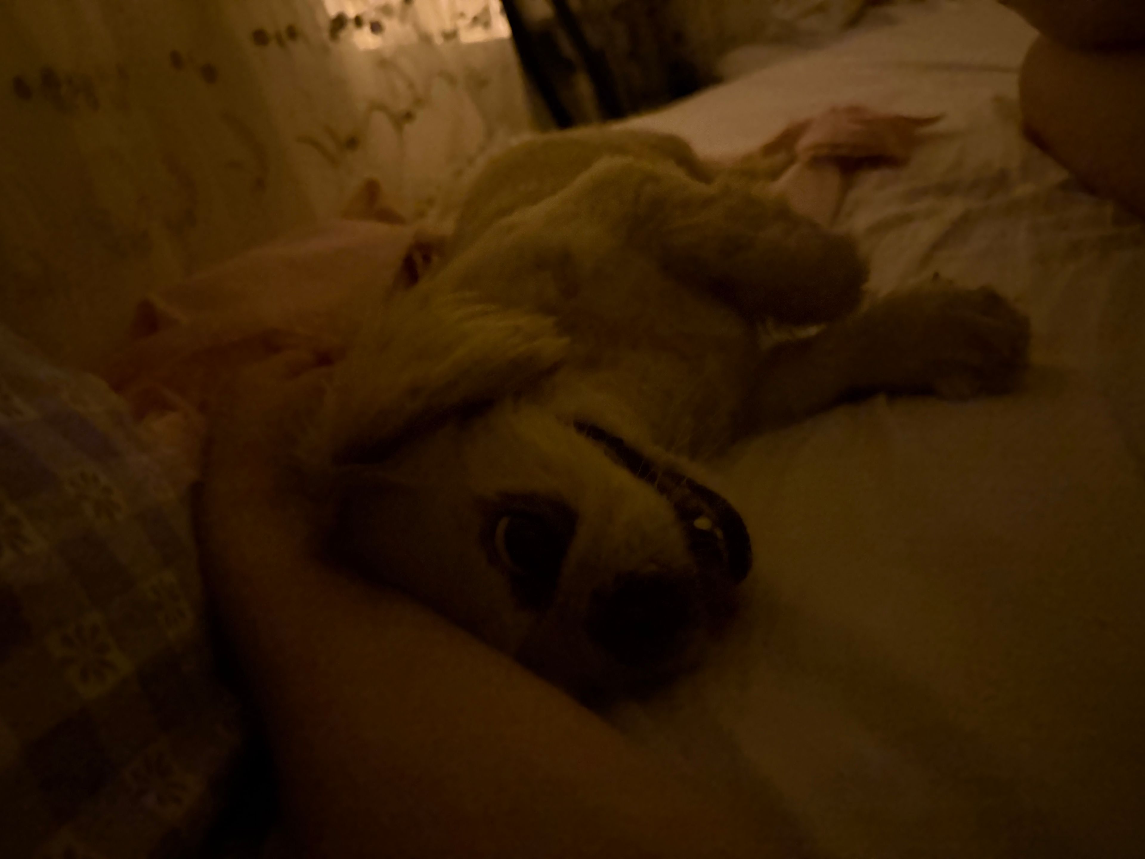 image-9