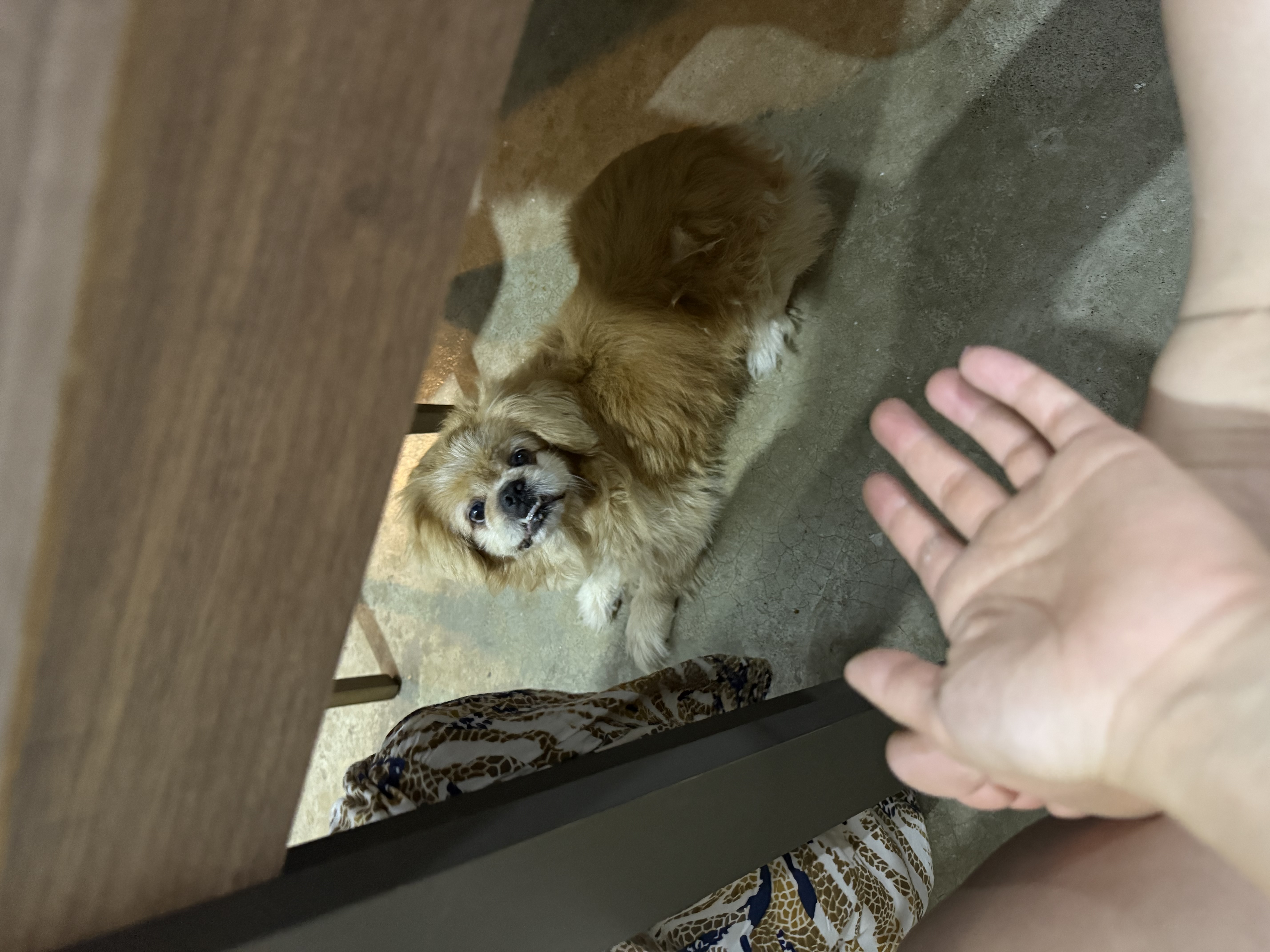 image-8
