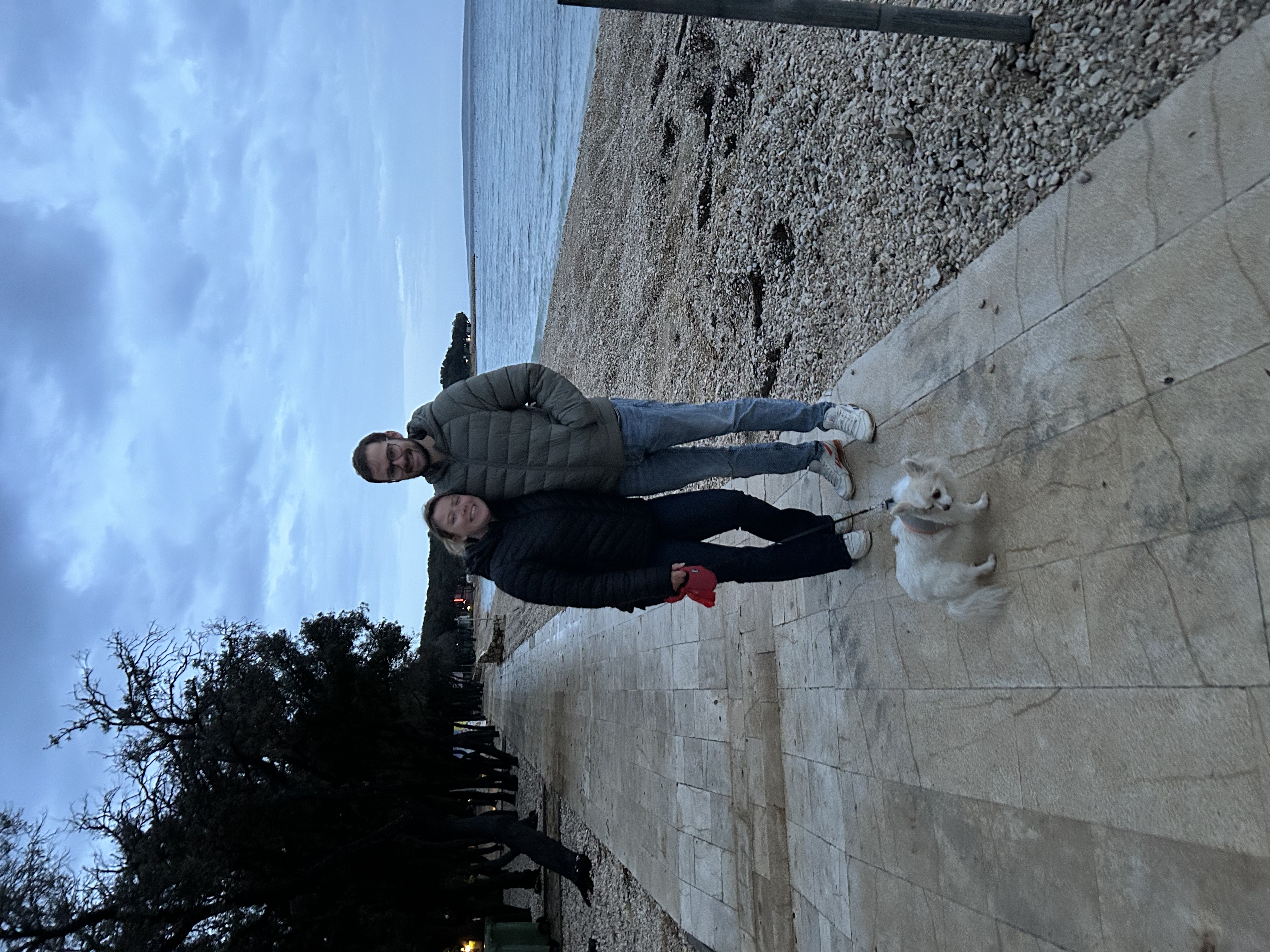 image-7