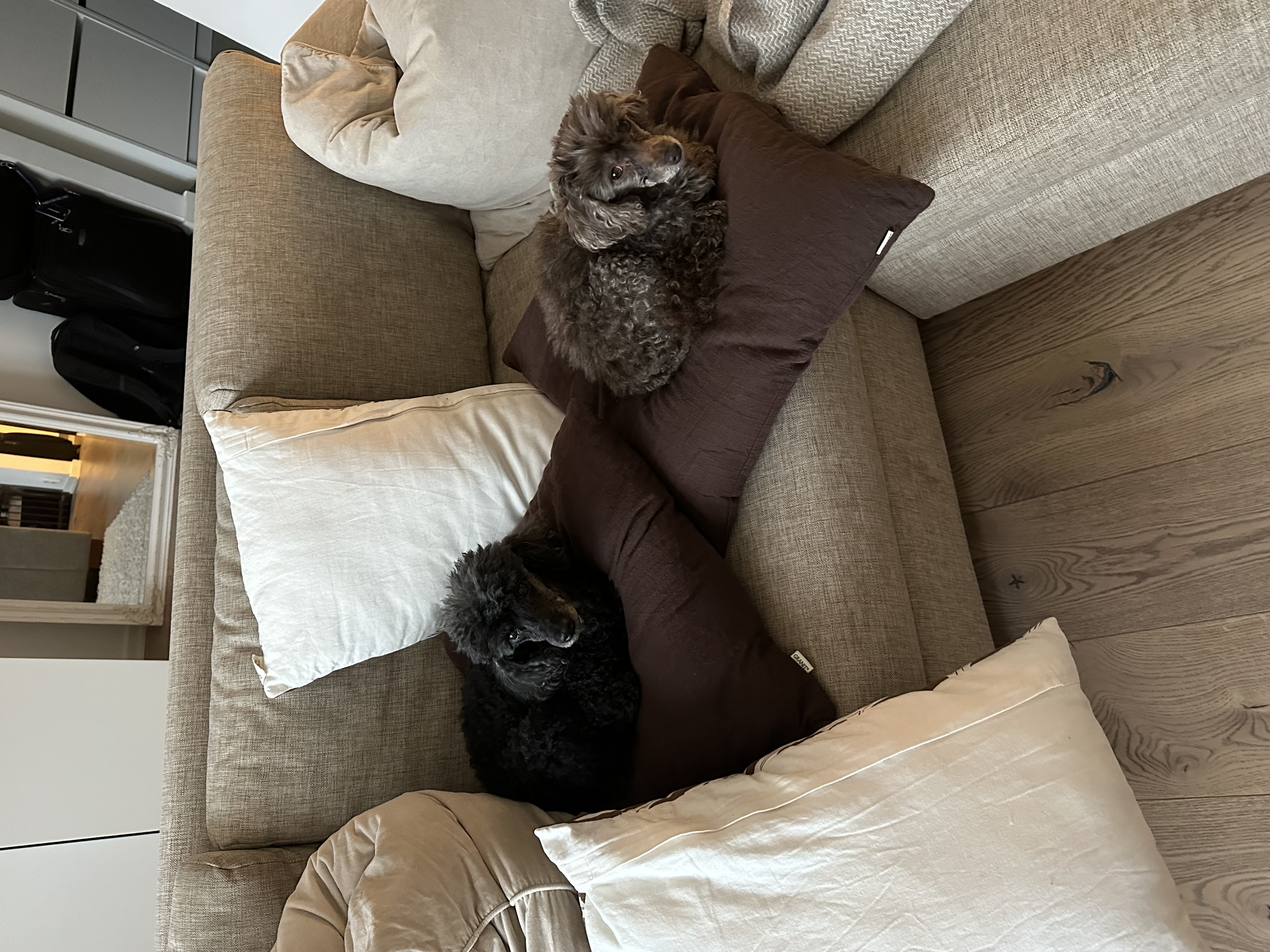 image-16