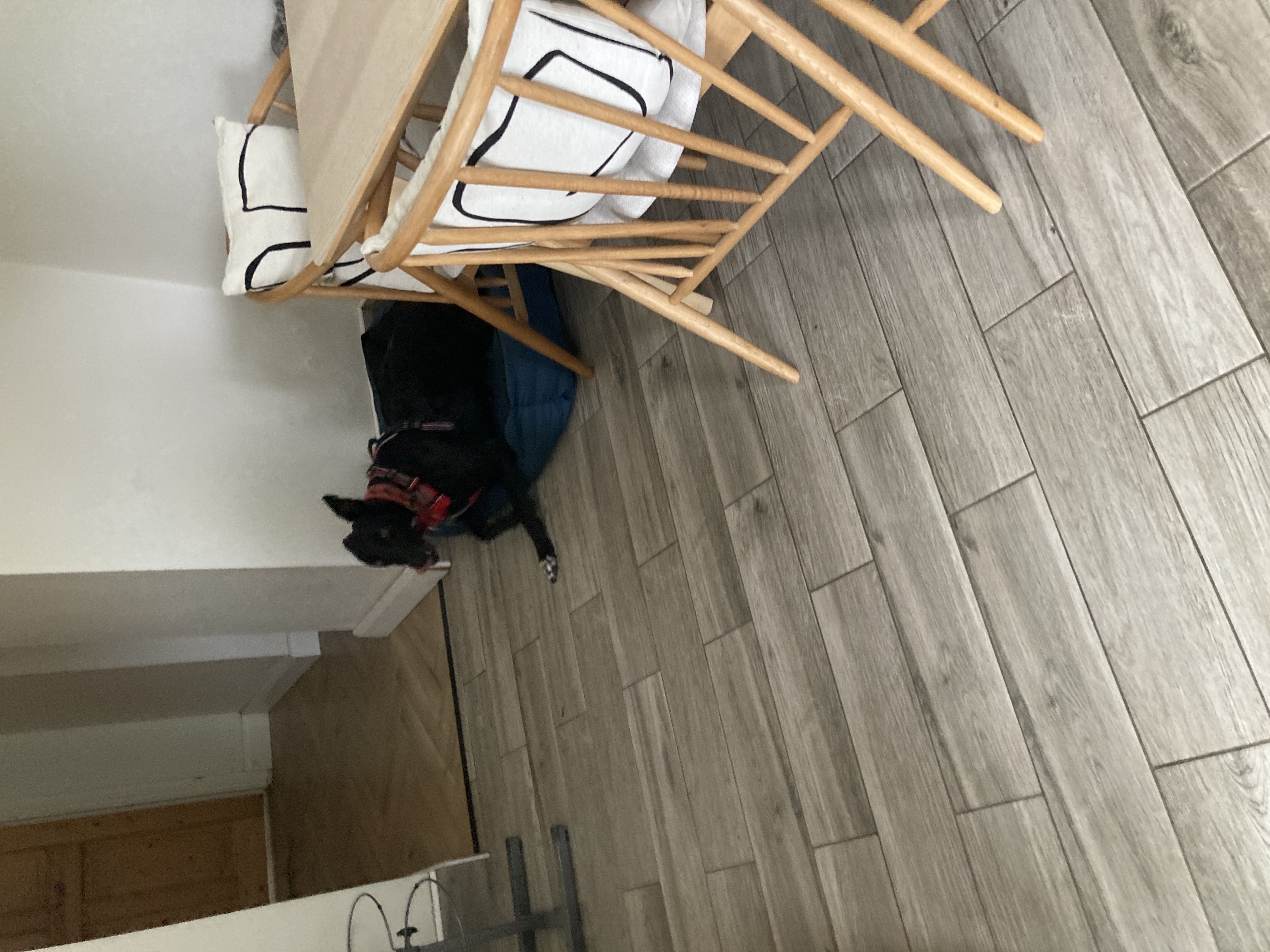 image-20