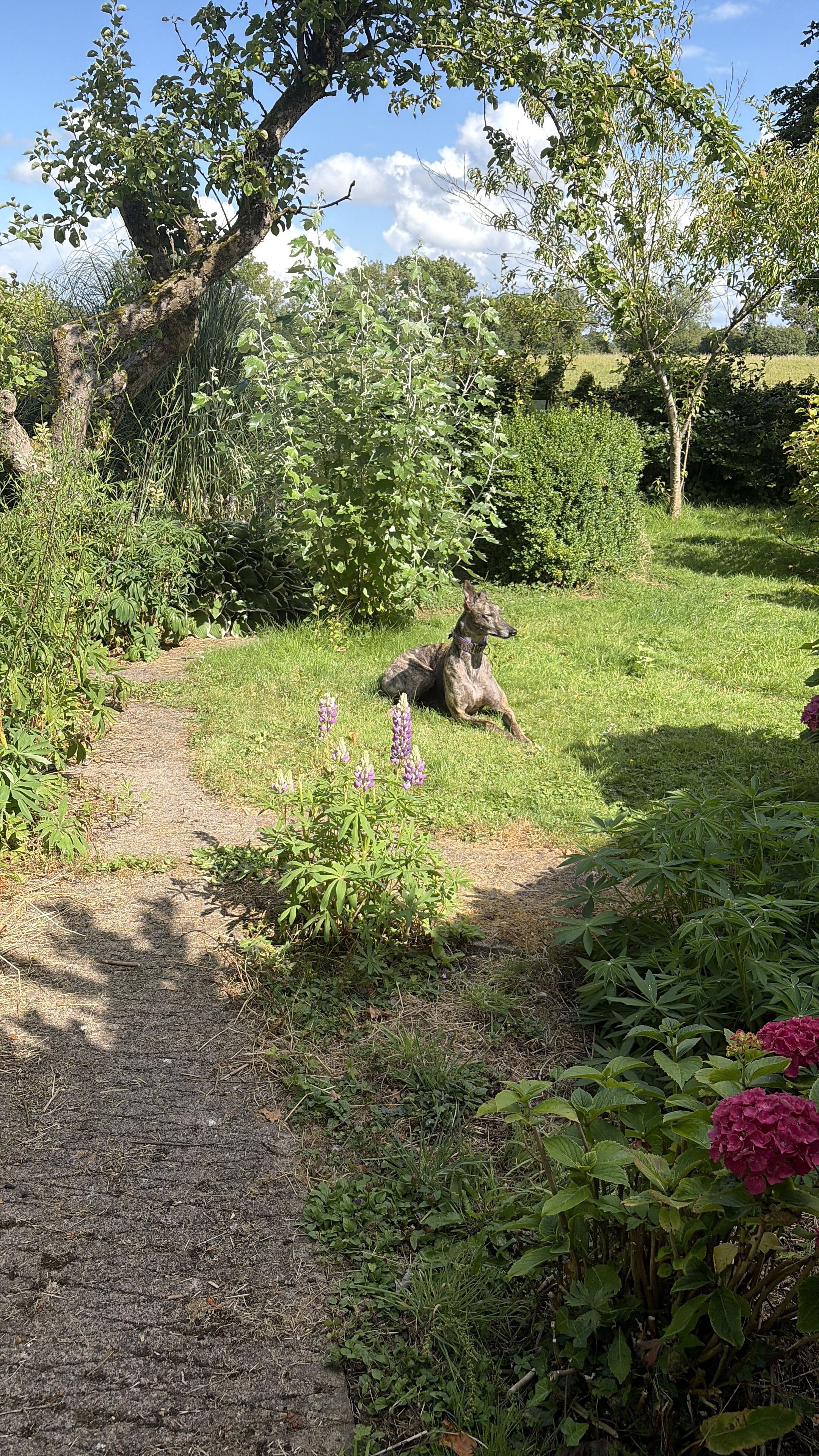 image-43